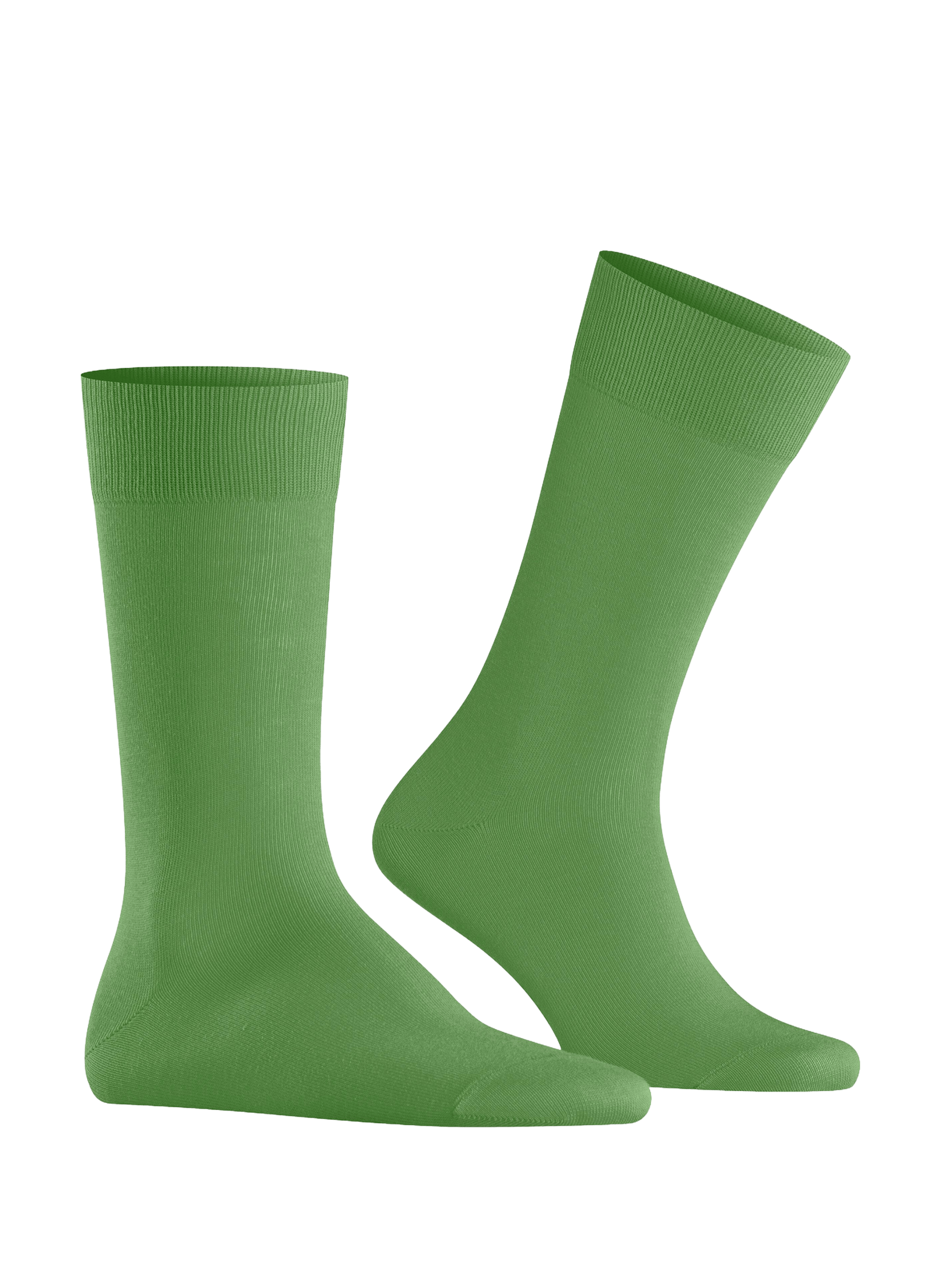 Chaussettes hautes Lord BURLINGTON Vert