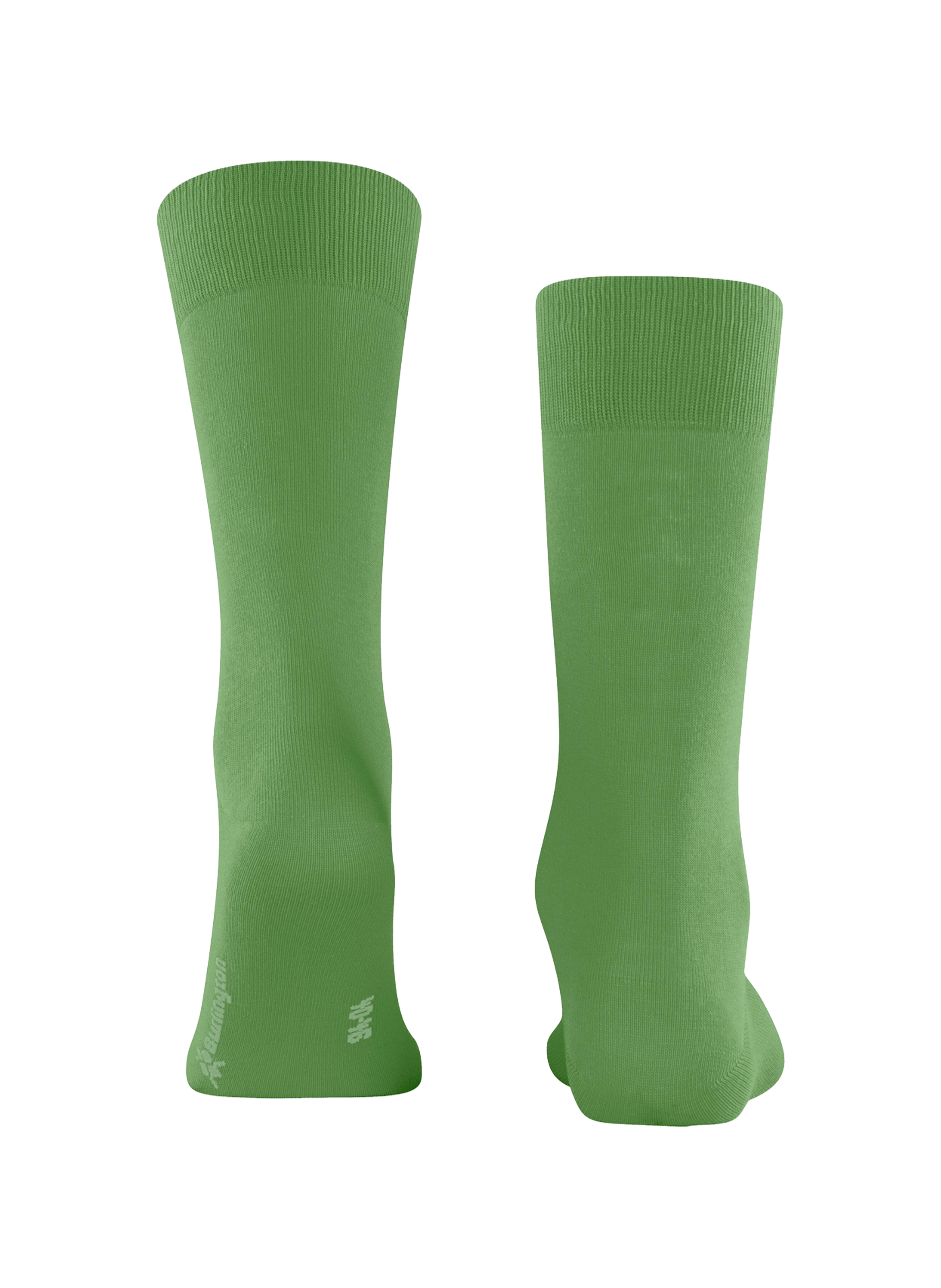 Chaussettes hautes Lord BURLINGTON Vert