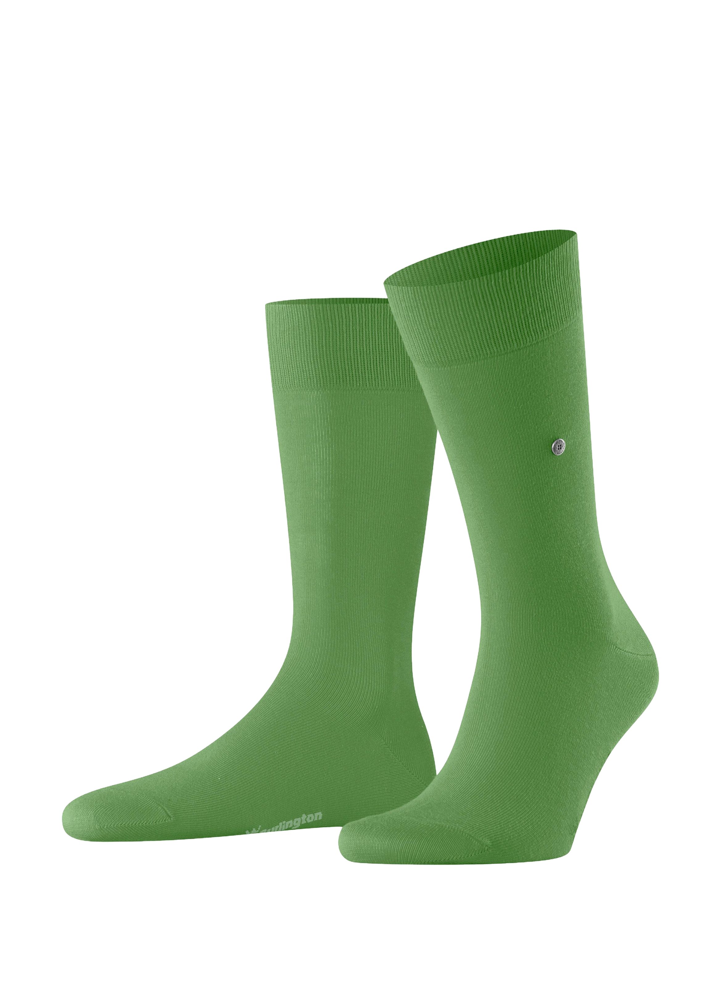 Chaussettes hautes Lord BURLINGTON Vert