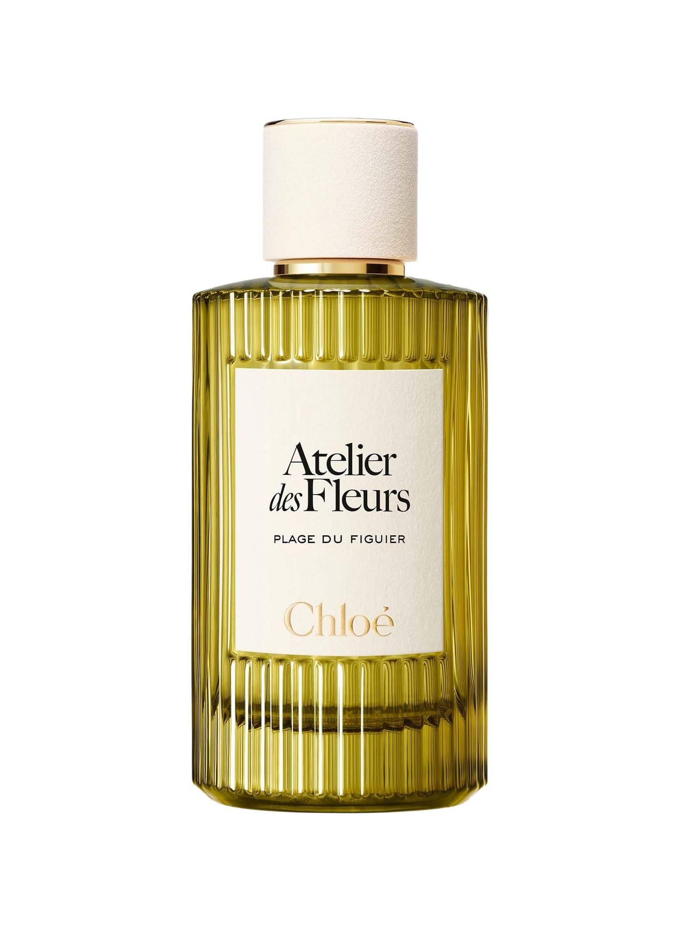 Chloé Atelier des Fleurs - Plage du Figuier - Eau de Parfum CHLOE ATELIER DES FLEURS No color
