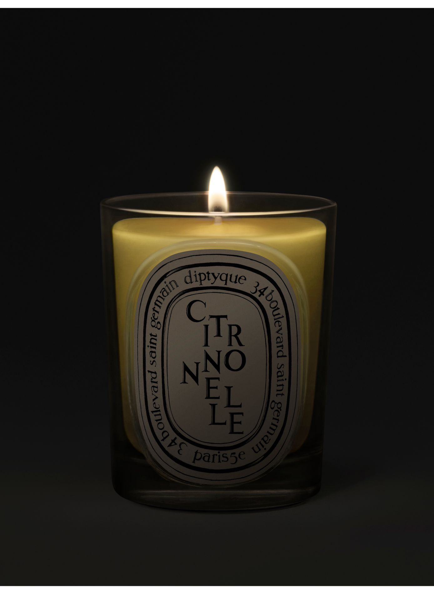 Bougie Classique Citronnelle DIPTYQUE No color