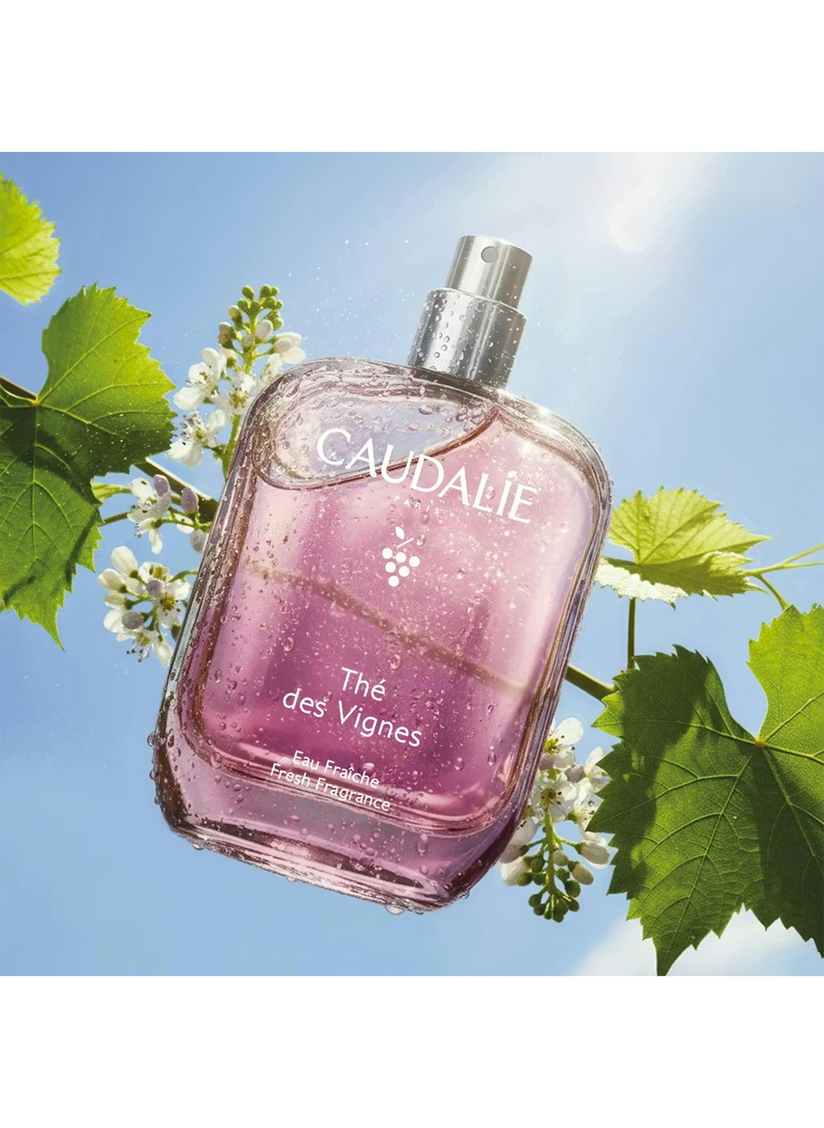 Thé des Vignes - Eau Fraîche CAUDALIE Beauté