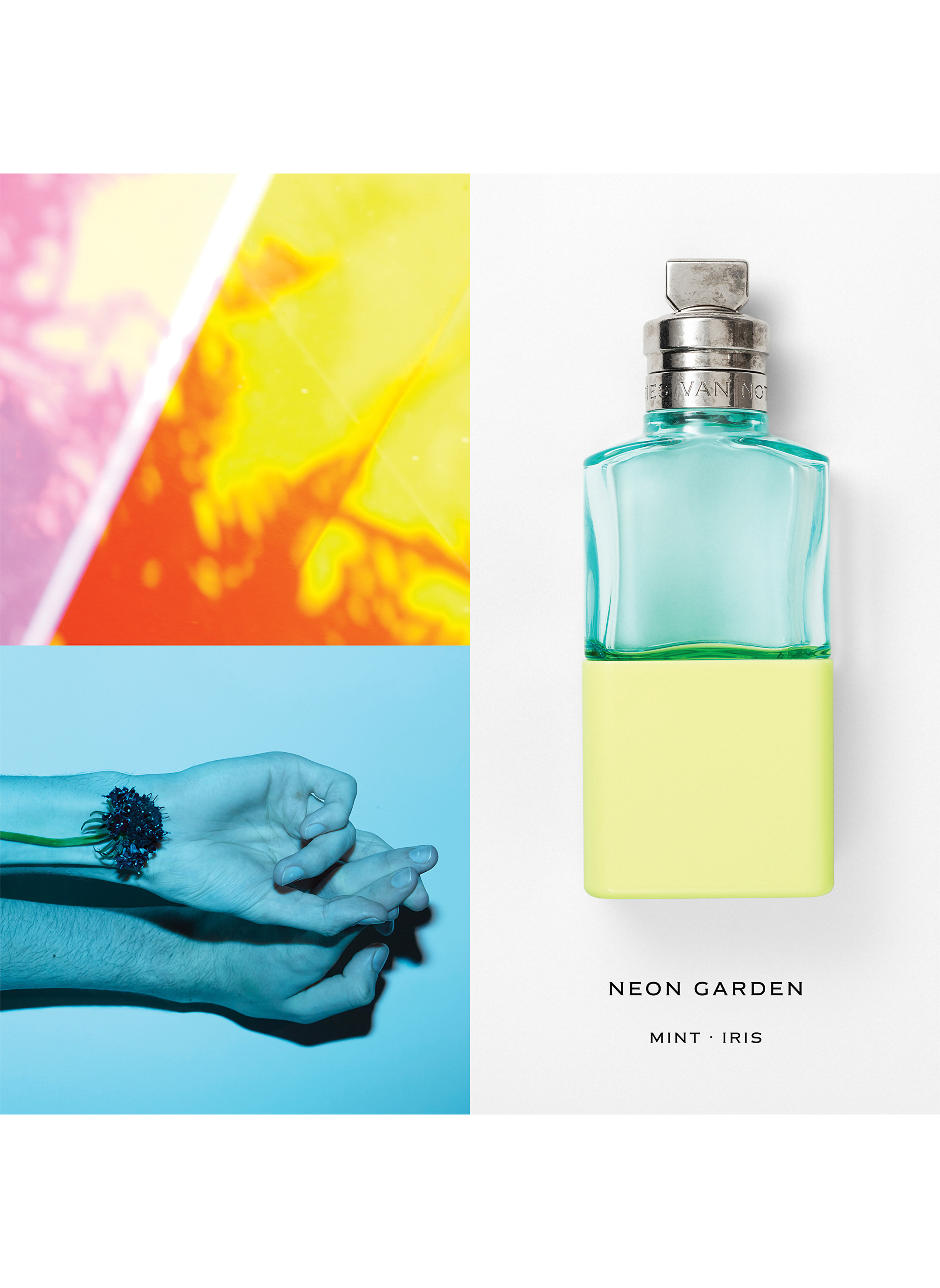 Neon Garden - eau de parfum DRIES VAN NOTEN No color