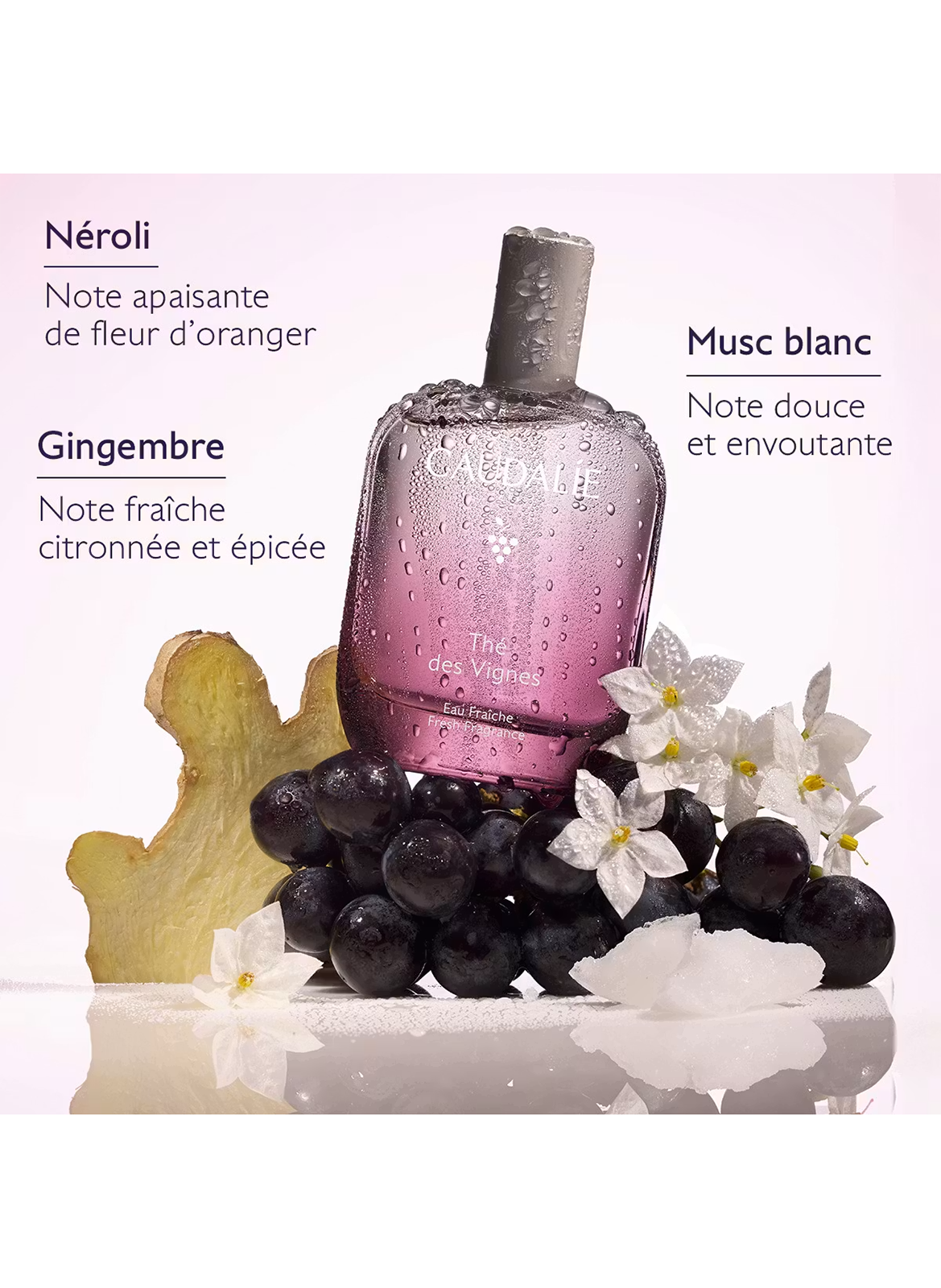 Thé des Vignes - Eau Fraîche CAUDALIE Beauté