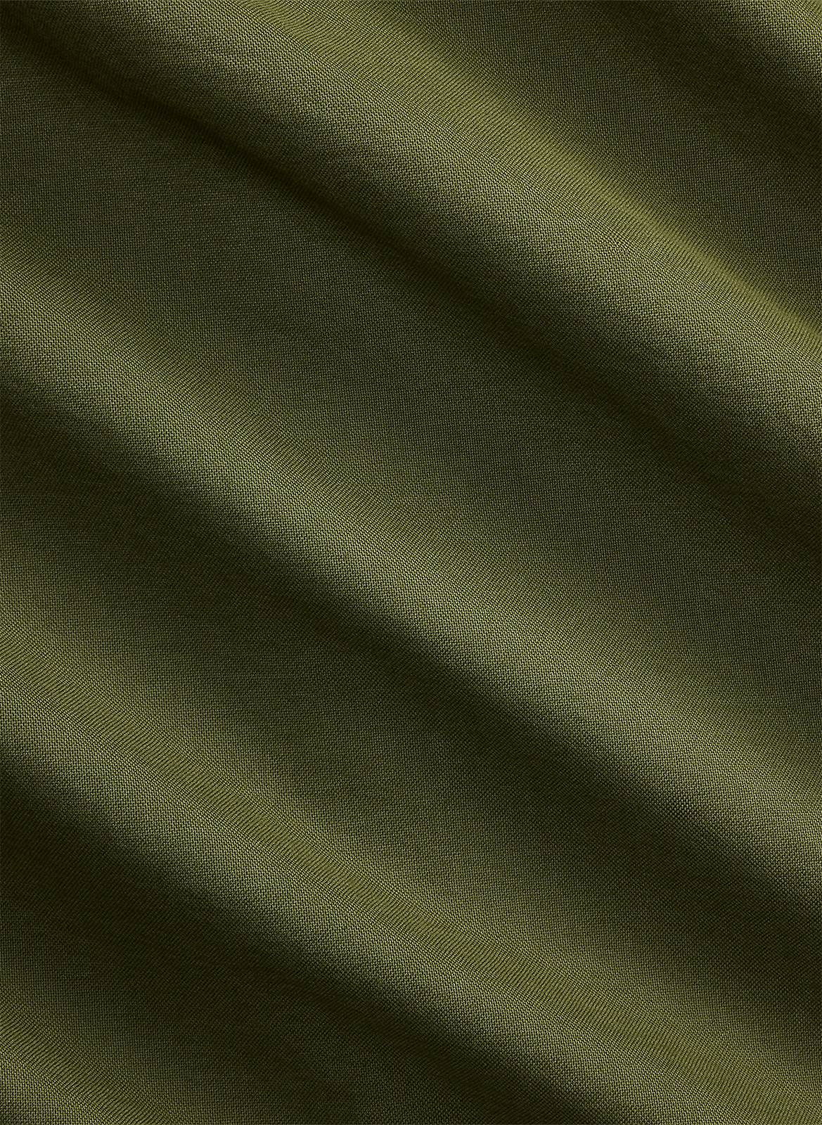 Chemise en coton  POLO RALPH LAUREN Vert