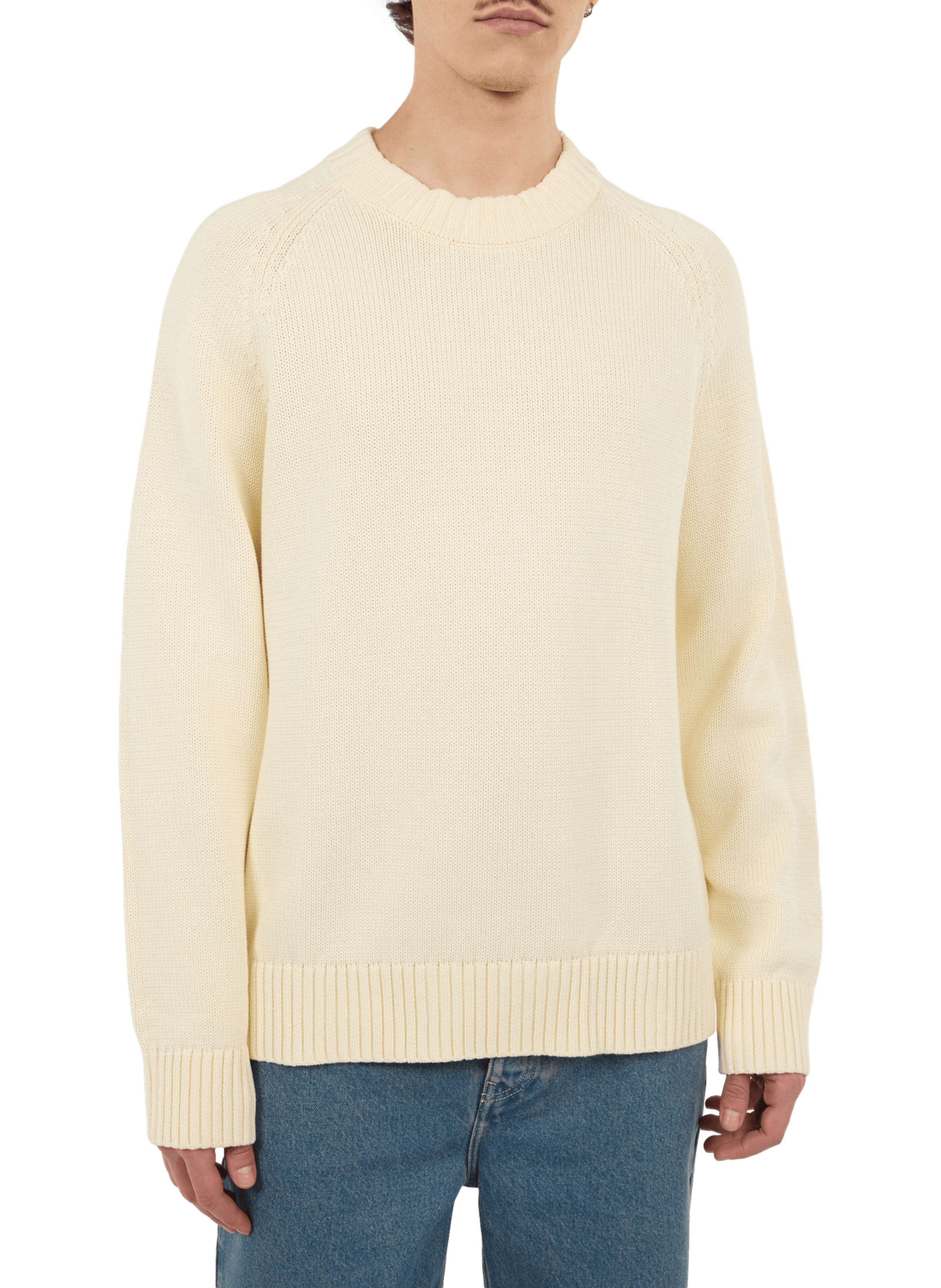 Pull Pann en maille en coton SAISON 1865