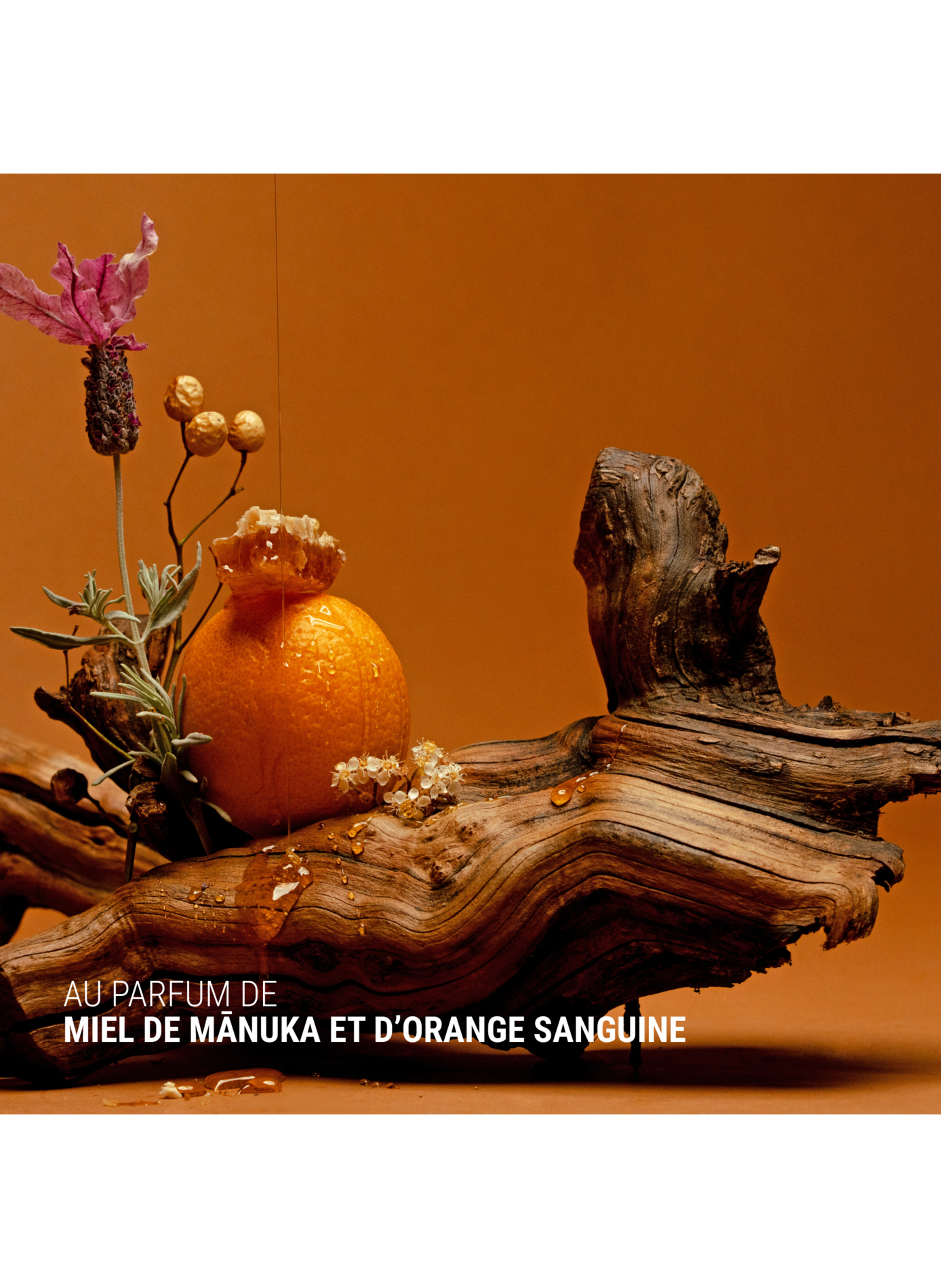 Shampoing Manuka - Orange Sanguine Volume et Brillance ANTIPODES No color