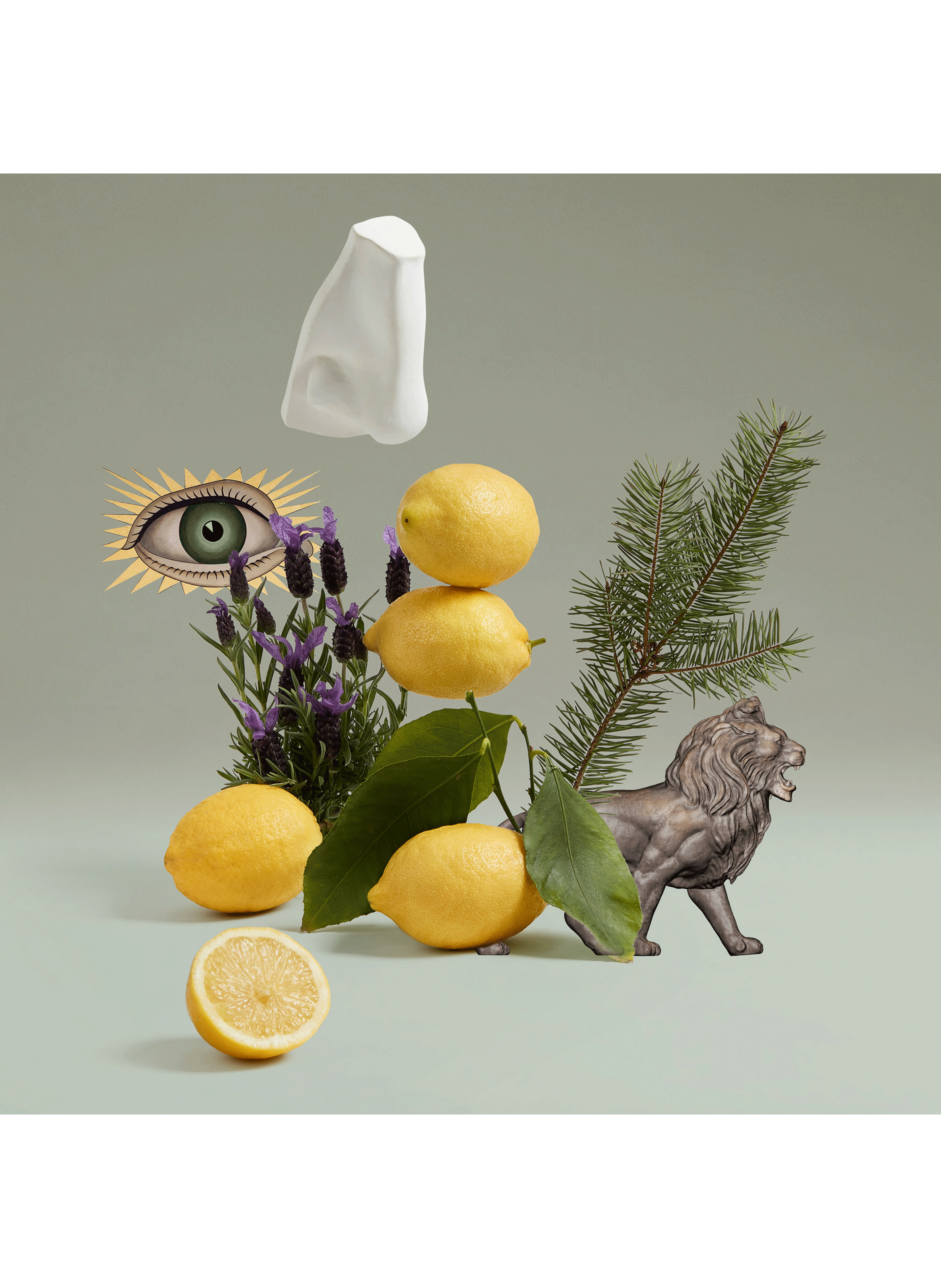 Blenheim Bouquet eau de parfum PENHALIGON&#039;S No color