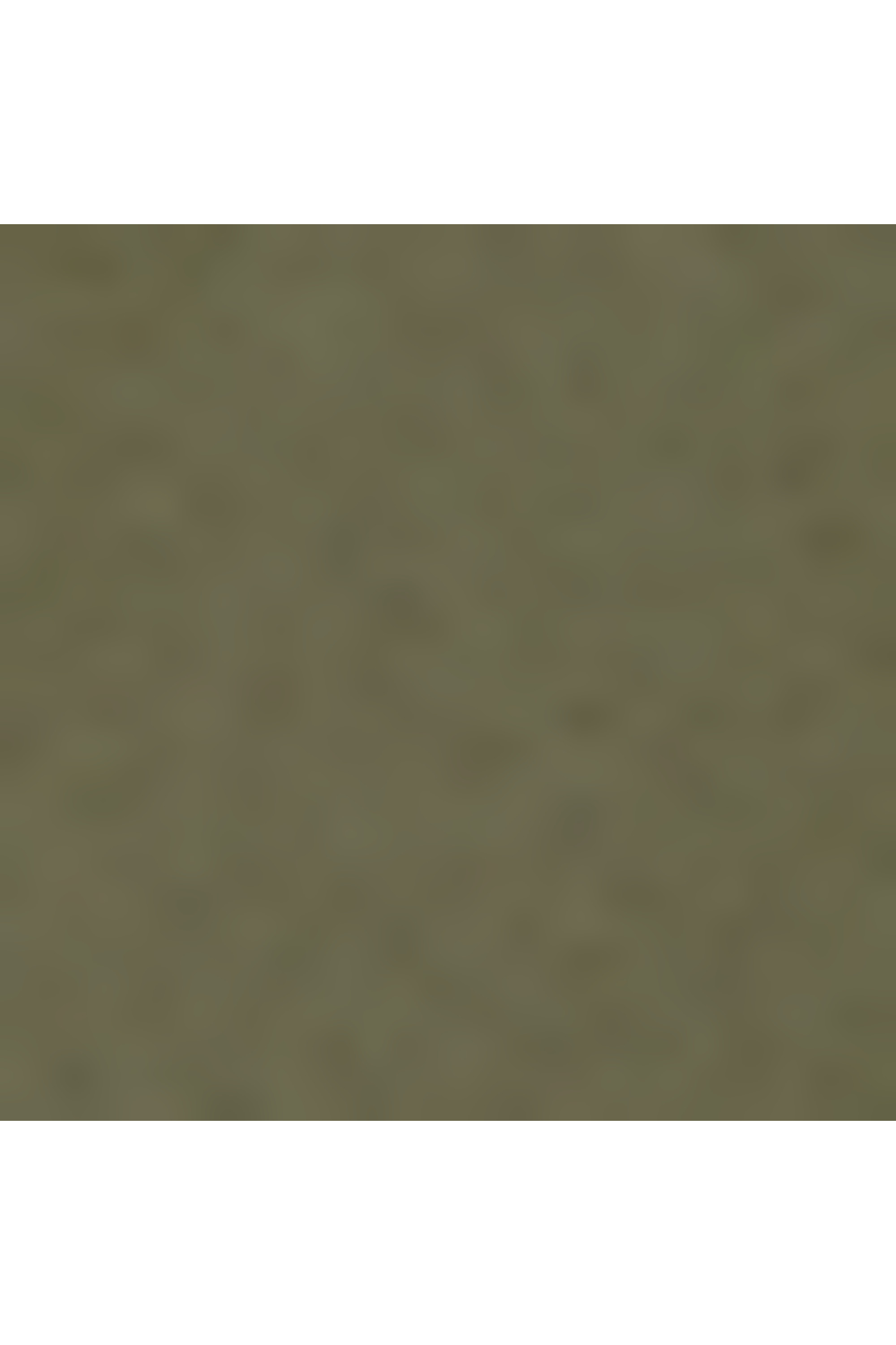 19 degree valise 4 roues taille s TUMI Vert