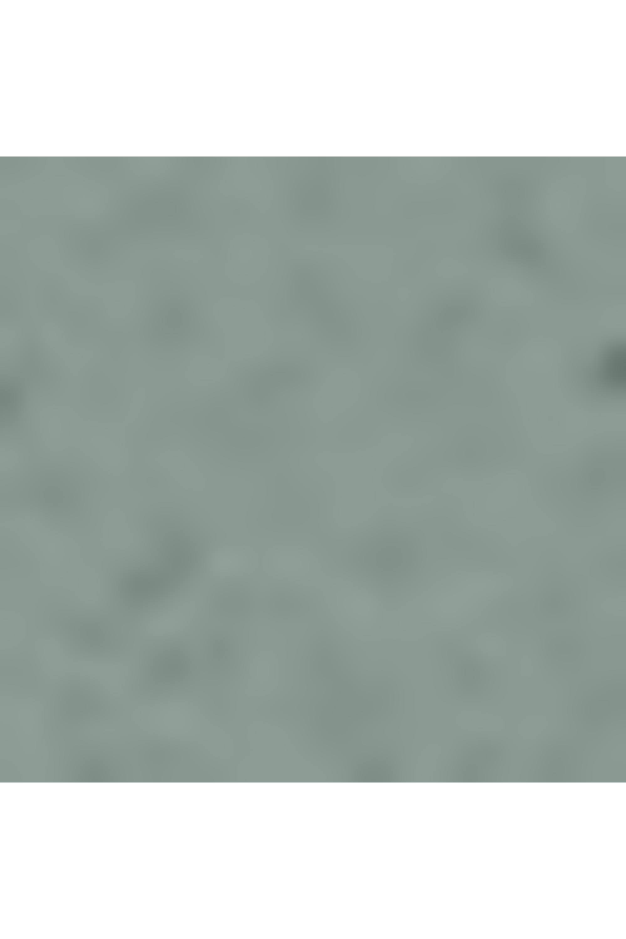 Belden slg trousse de maquillage taille s TUMI Vert