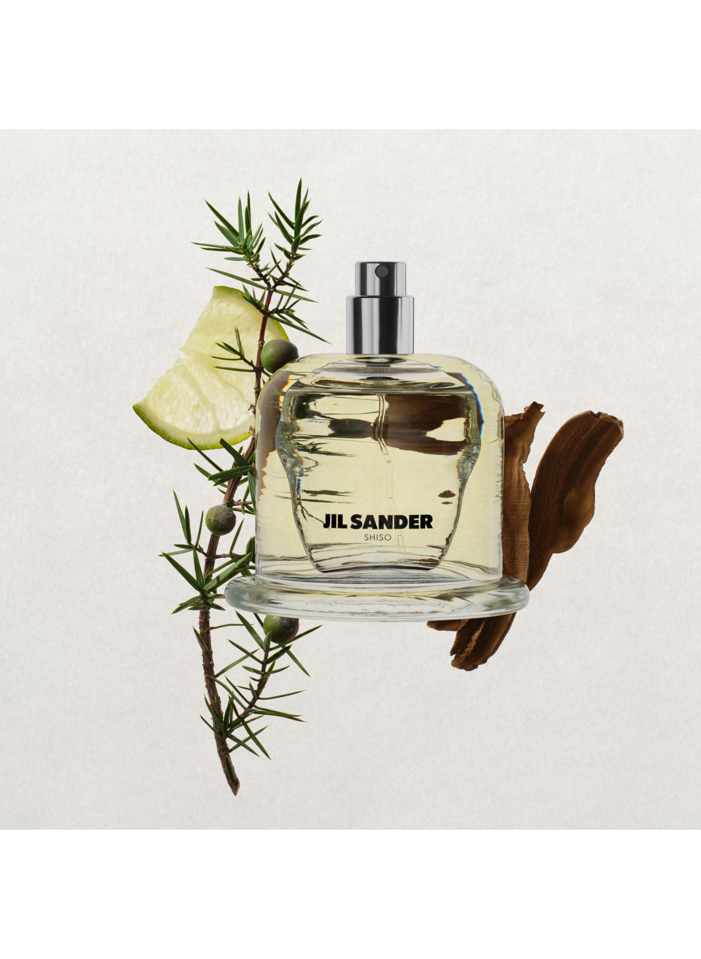 Jil Sander Olfactory Series 1 - Shiso - Eau de Parfum
Jil Sander Olfactory Series 1 - Shiso - Eau de Parfum JIL SANDER No color