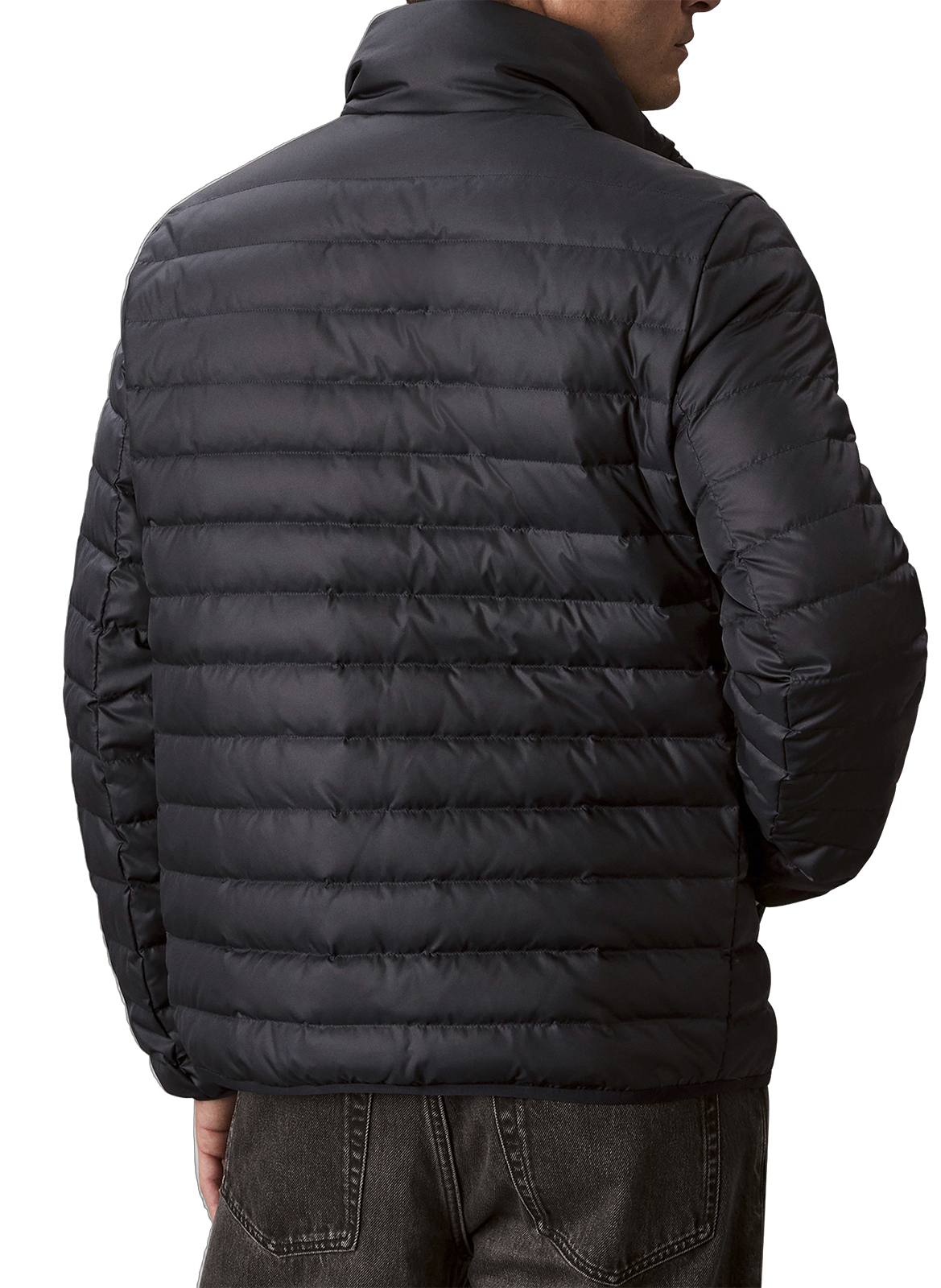 Blouson matelassé col montant CALVIN KLEIN Bleu