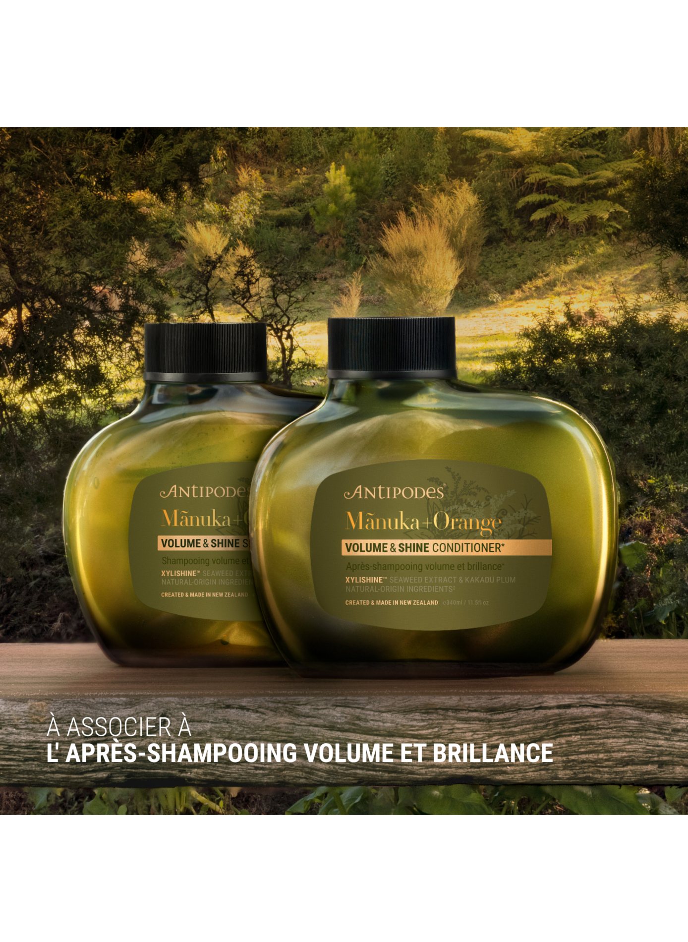 Shampoing Manuka - Orange Sanguine Volume et Brillance ANTIPODES No color