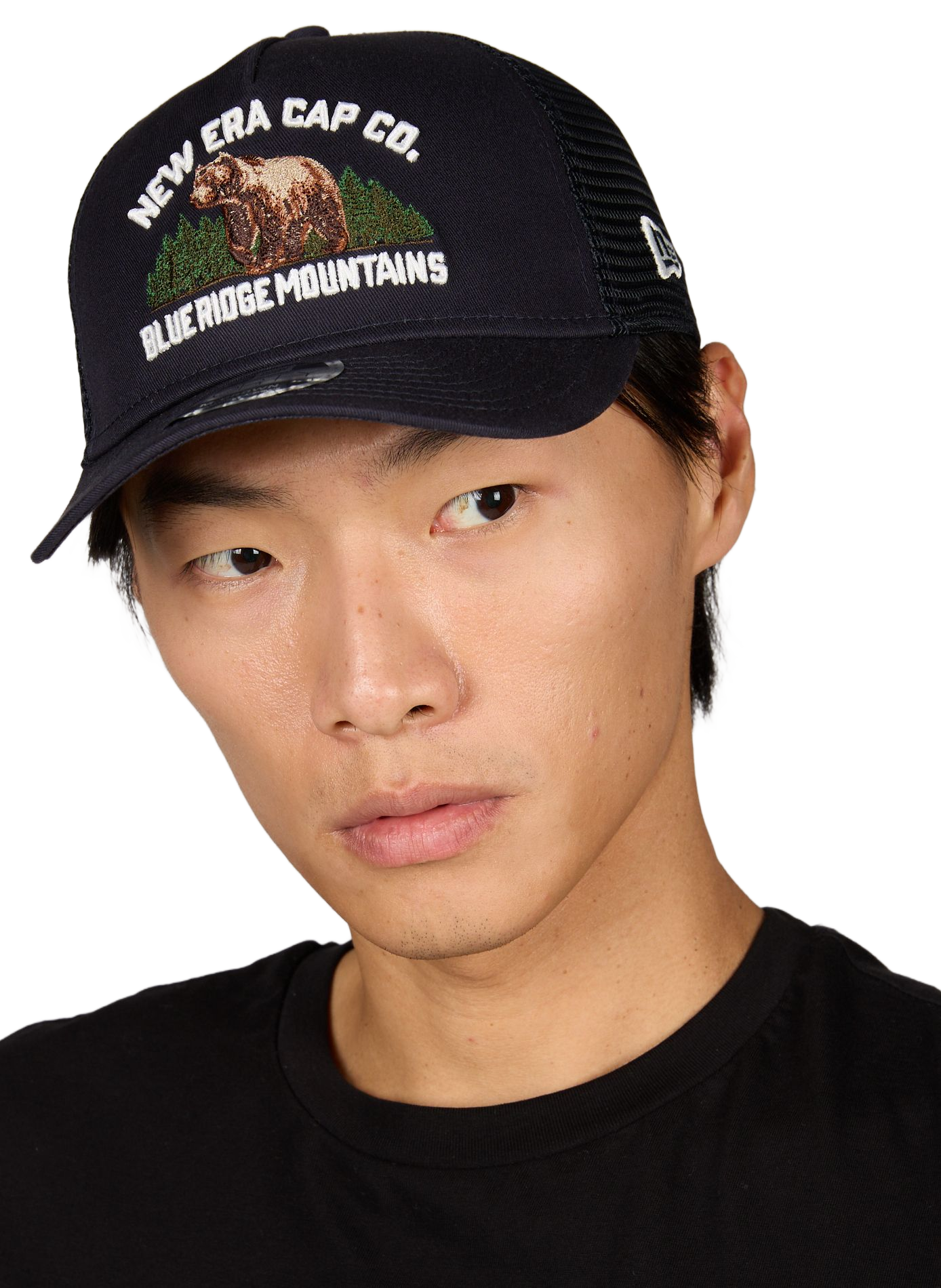 Embroidered cotton baseball cap NEW ERA Blue