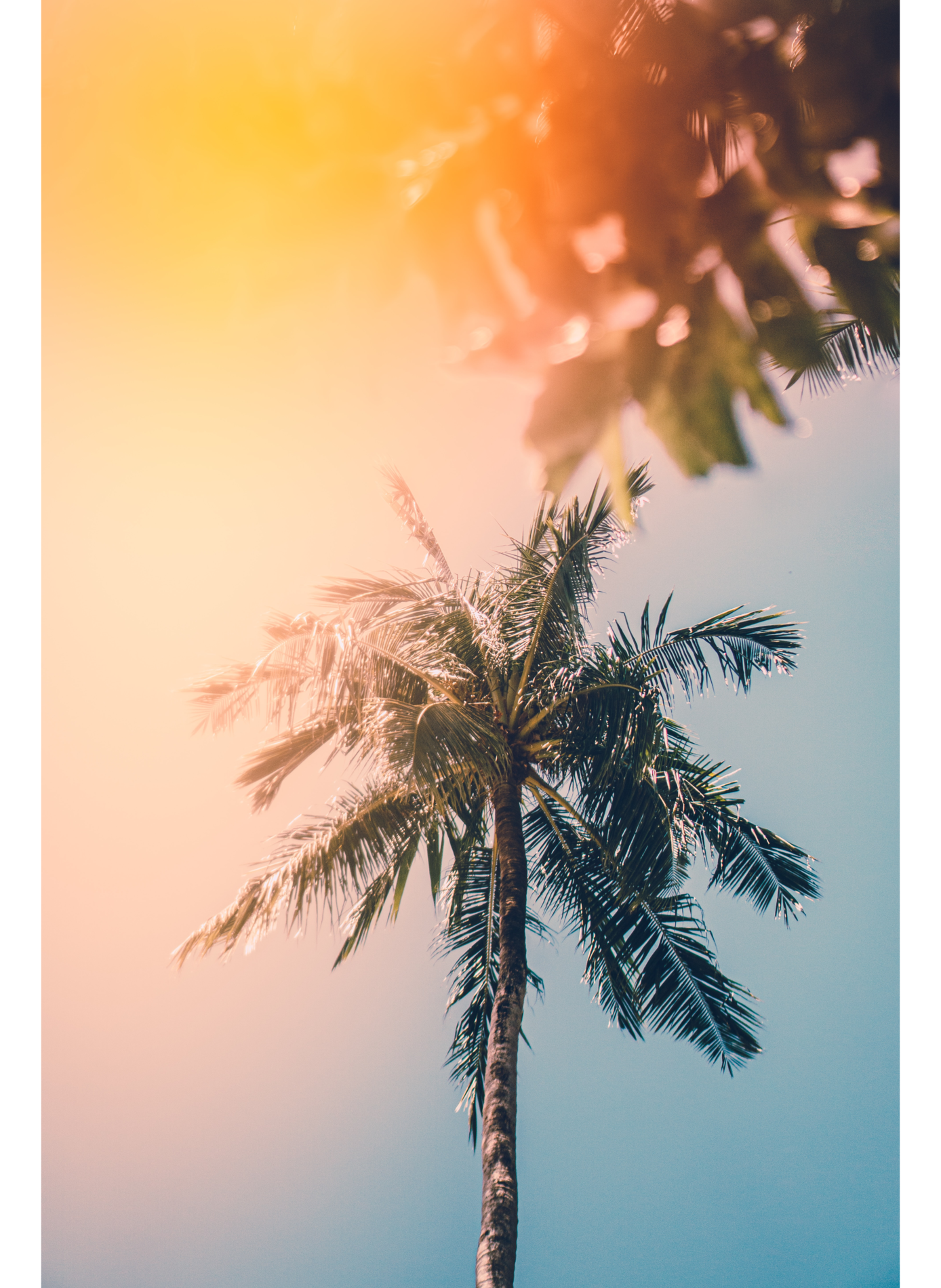 RISE EAU DE PARFUM AKRO No color