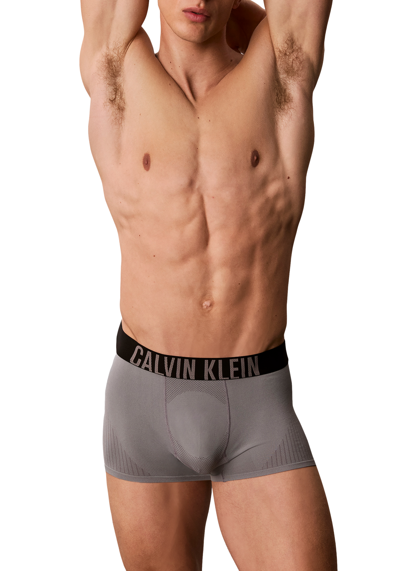 Boxer élastique uni CALVIN KLEIN Gris