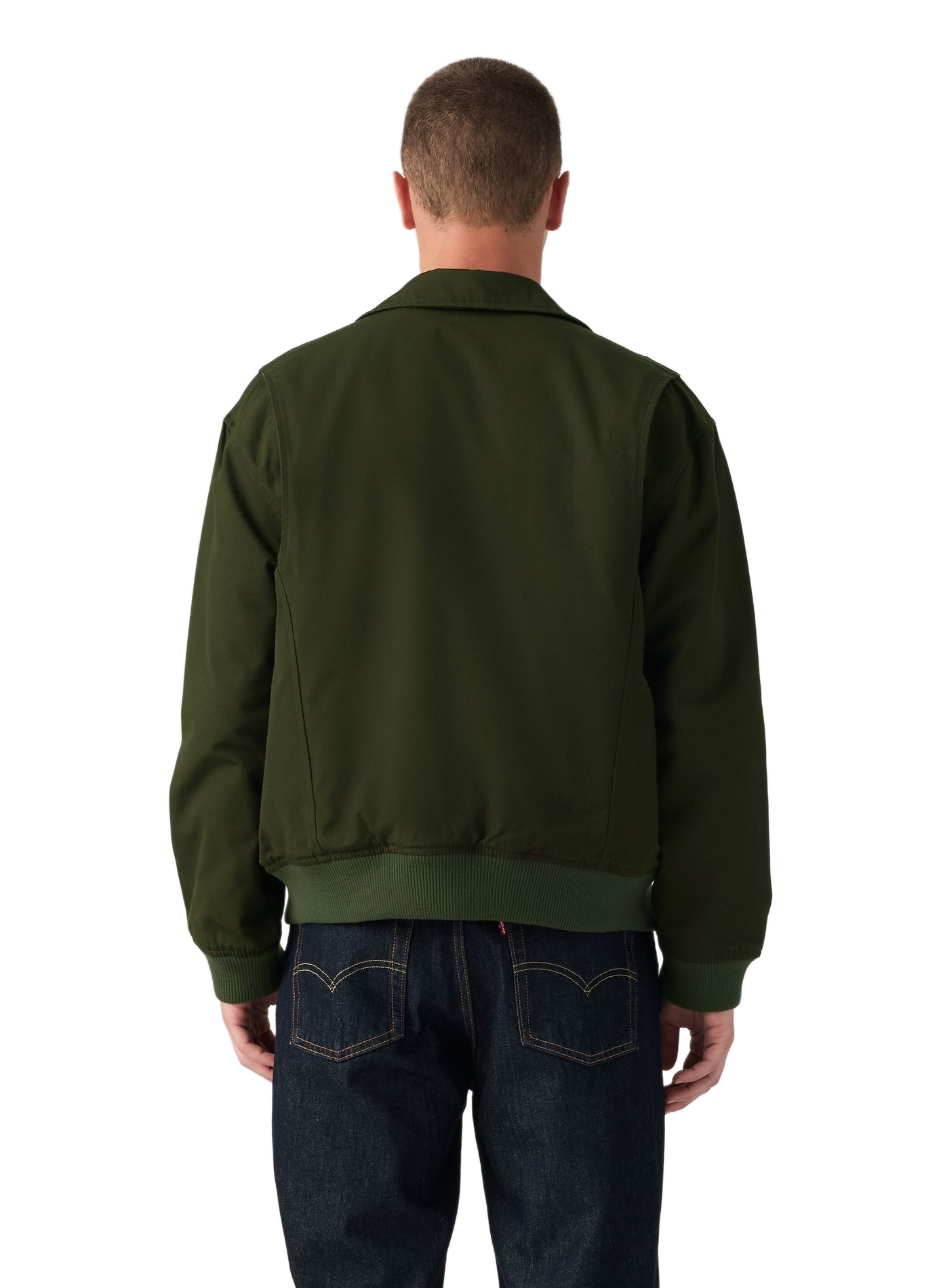 Jacke mit klassischem Baumwollkragen LEVI'S Grun