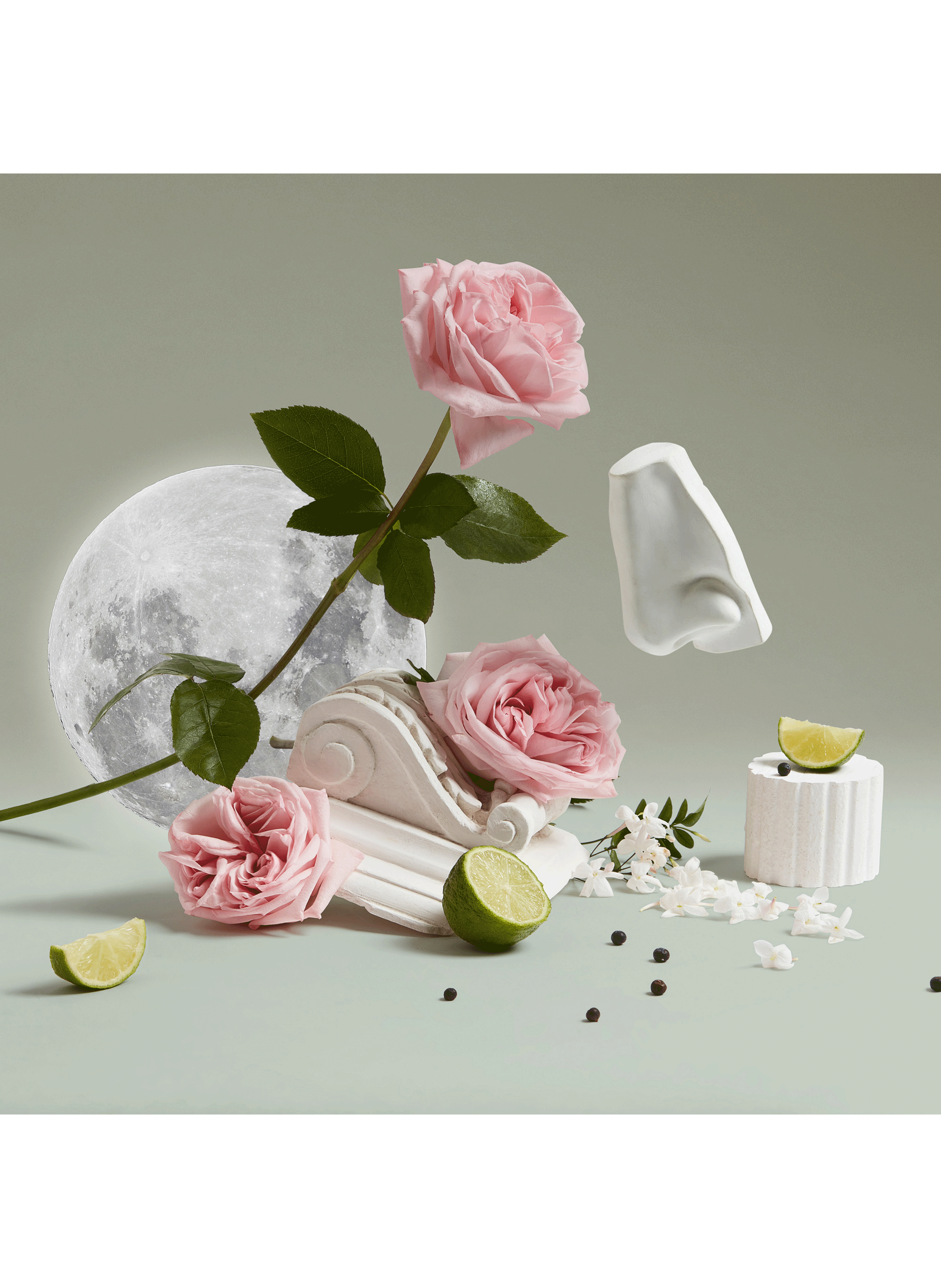 Luna eau de toilette PENHALIGON&#039;S No color