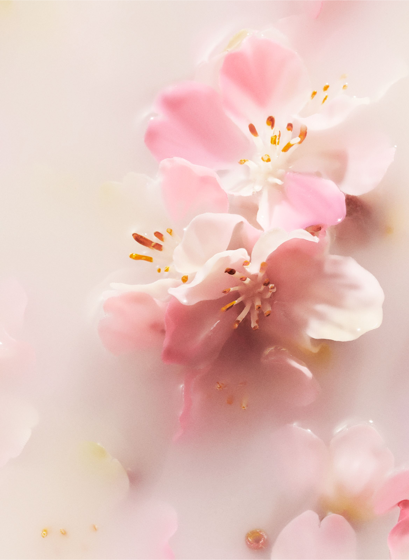 The Ritual of Sakura - Baume Mains RITUALS No color