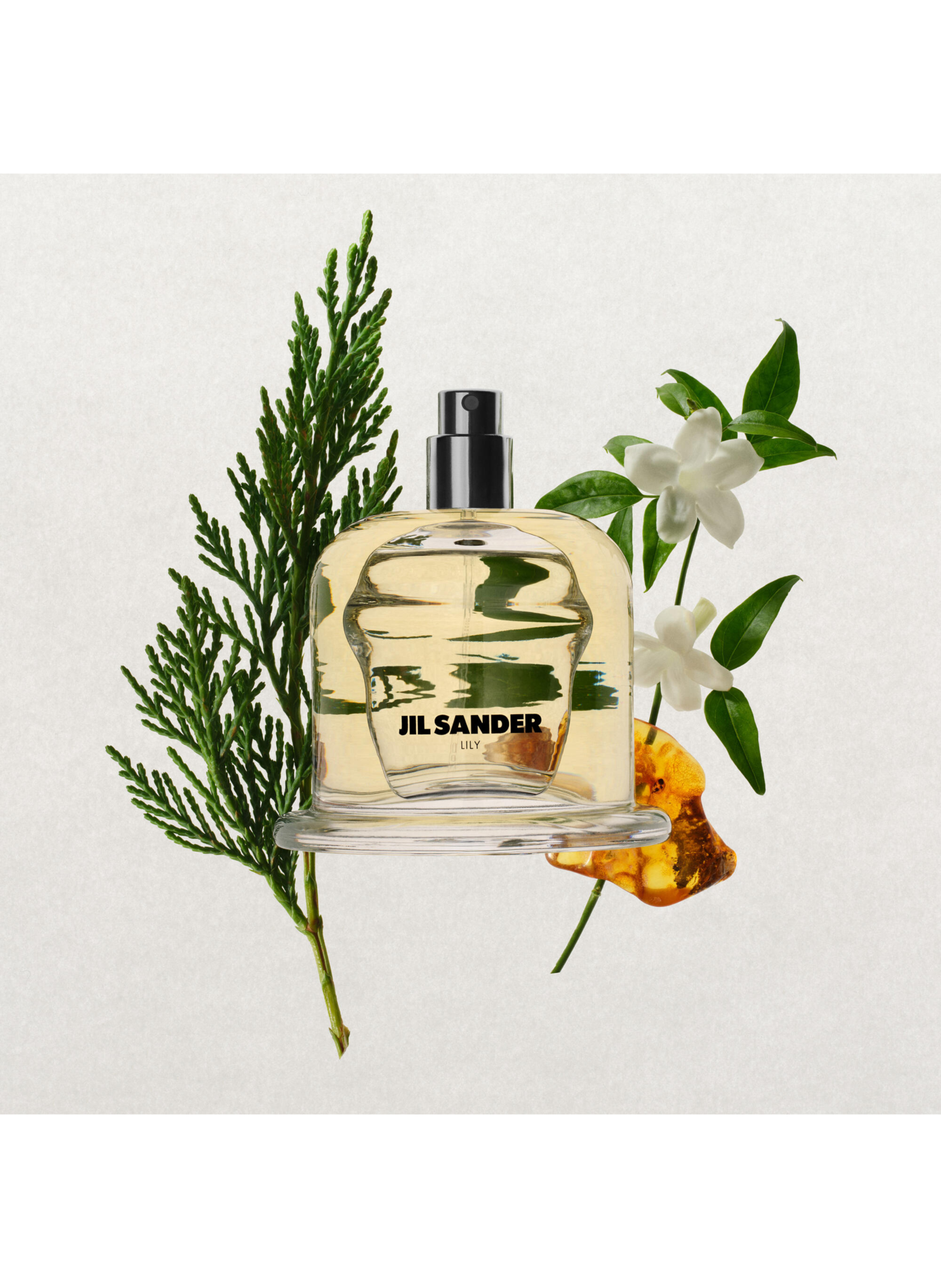 Jil Sander Olfactory Series 1 - Lily - Eau de Parfum

Jil Sander Olfactory Series 1 - Lily - Eau de Parfum JIL SANDER No color