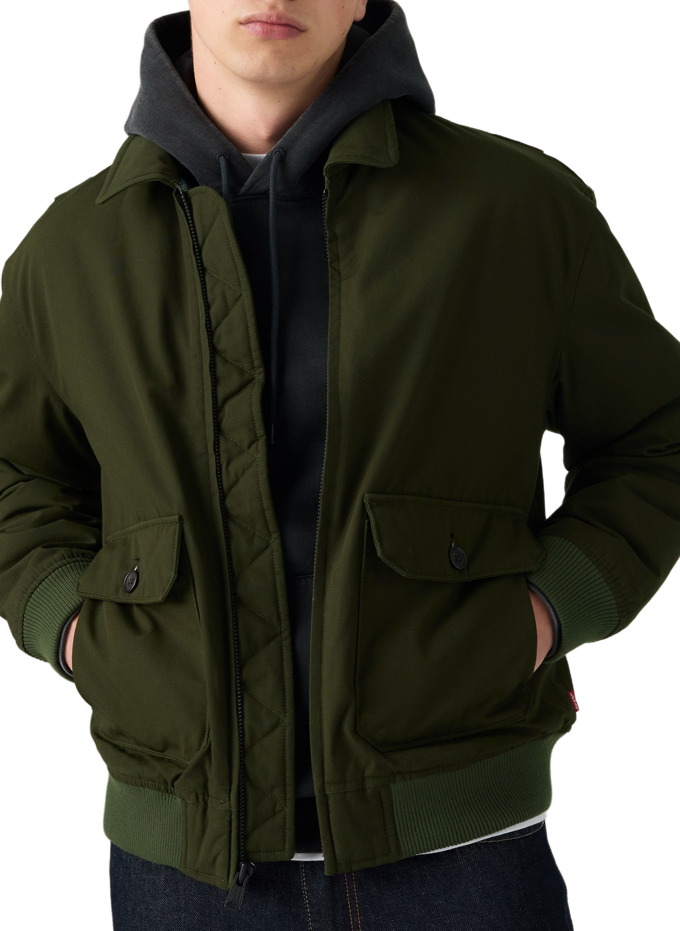 Jacke mit klassischem Baumwollkragen LEVI'S Grun