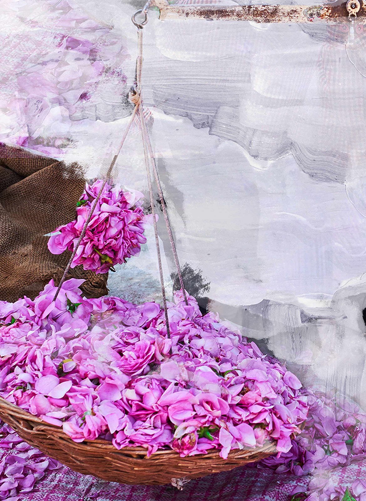 Eau de Parfum - Young Rose BYREDO No color