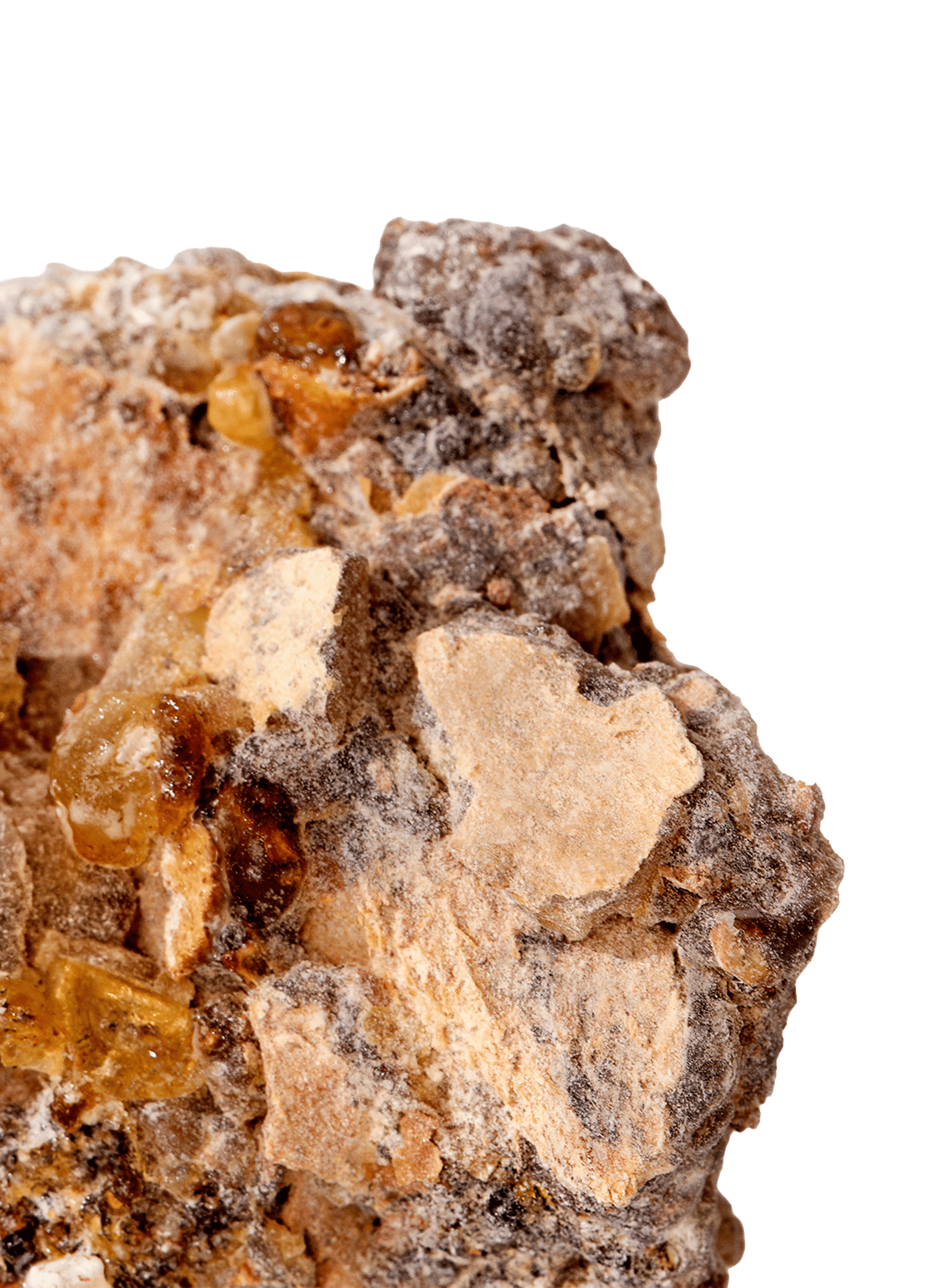 Gentle Incense - Extract No color