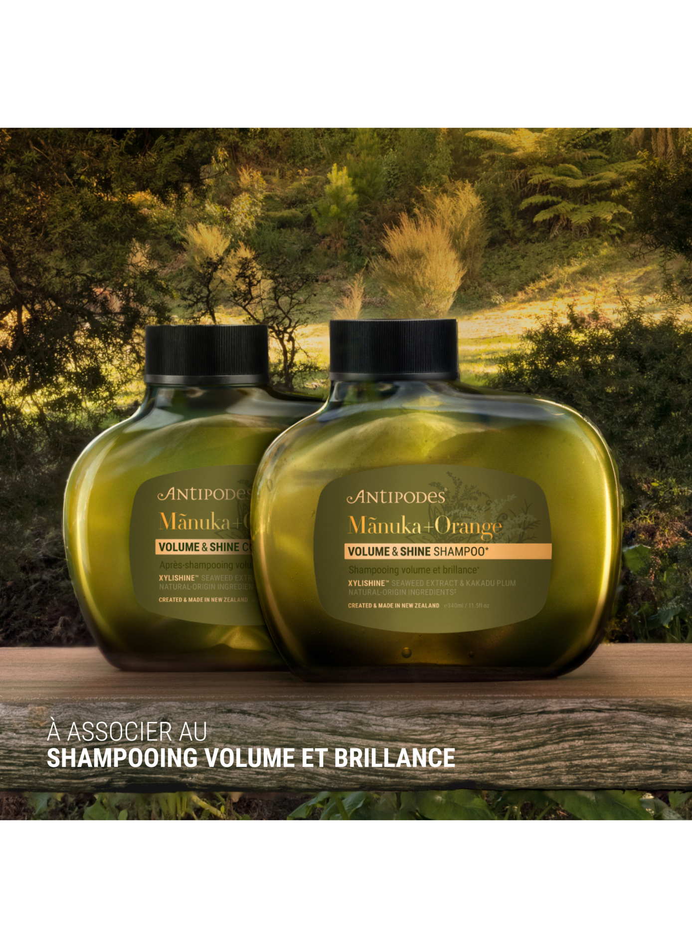 Après-shampoing Manuka - Orange Sanguine Volume et Brillance ANTIPODES No color