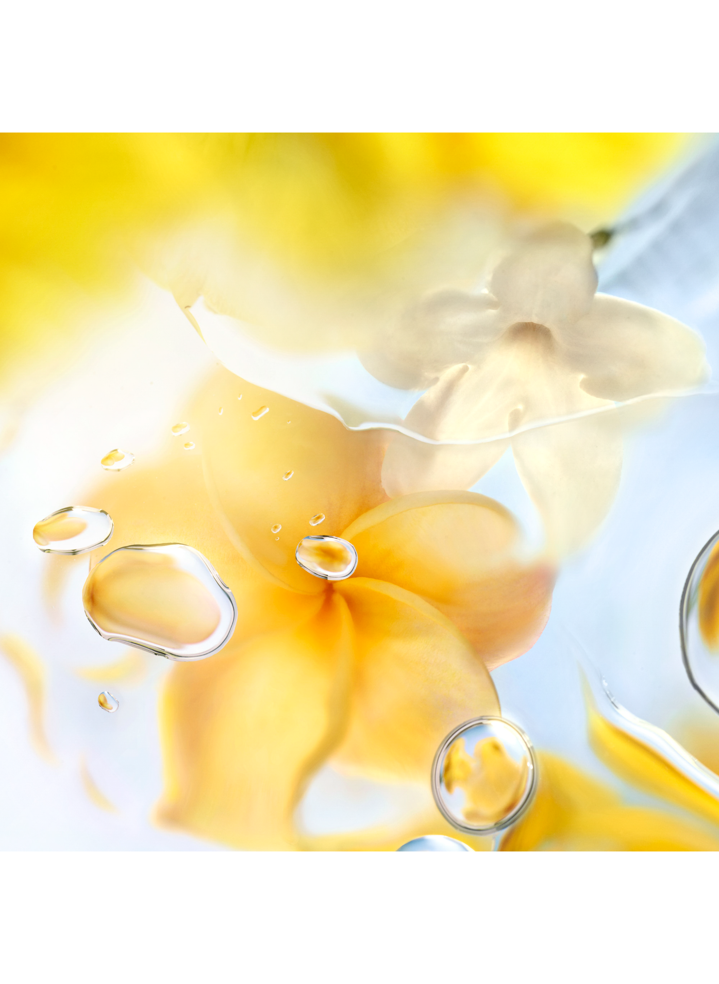 O de Lancome  Ô Zenith Eau de toilette LANCÔME No color