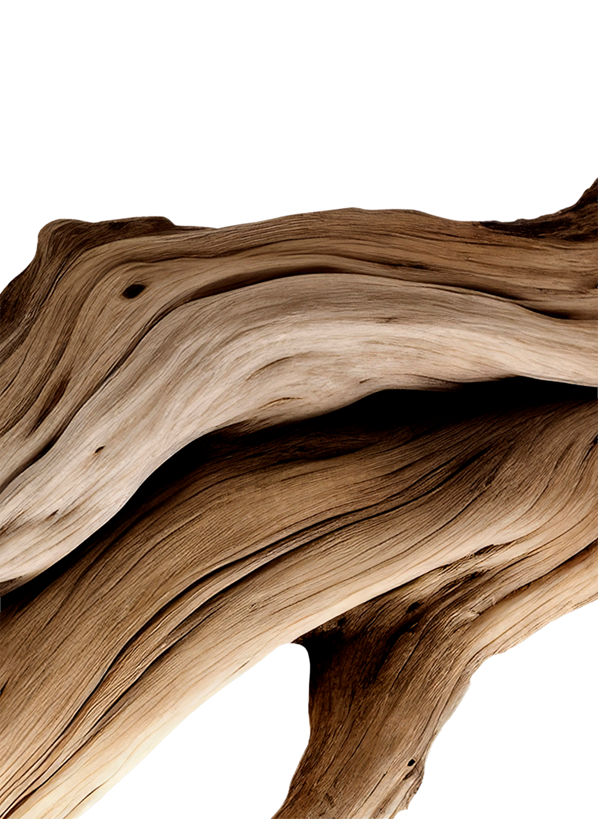 Australian Sandalwood - Extract MATIERE PREMIERE No color