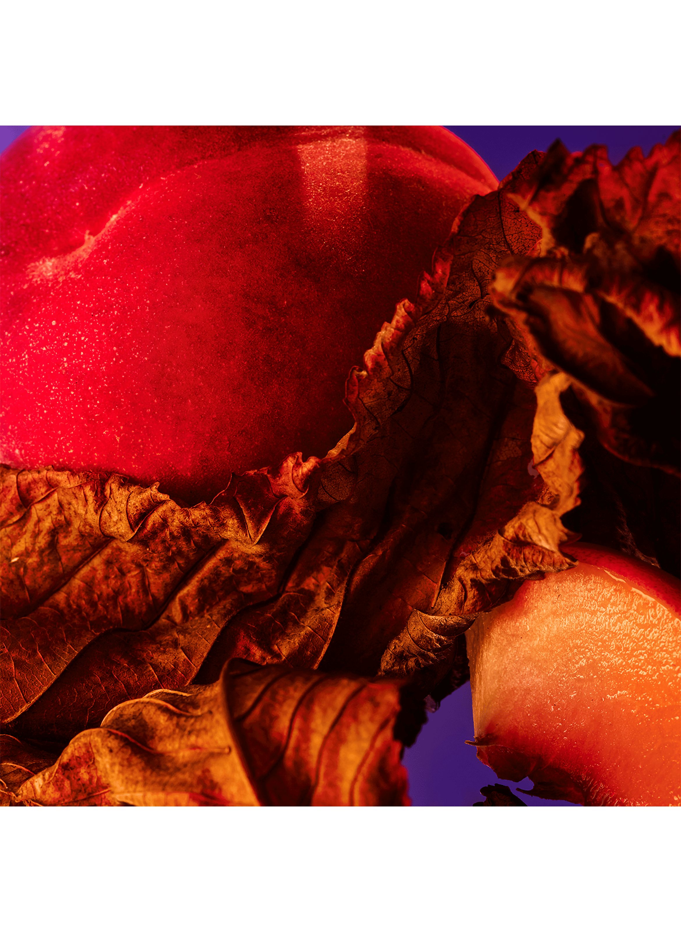 Bvlgari Allegra Fantasia Veneta - Eau de Parfum

 BVLGARI No color