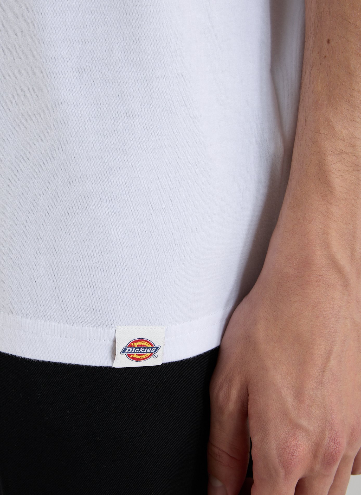 Biker-style cotton t-shirt DICKIES White