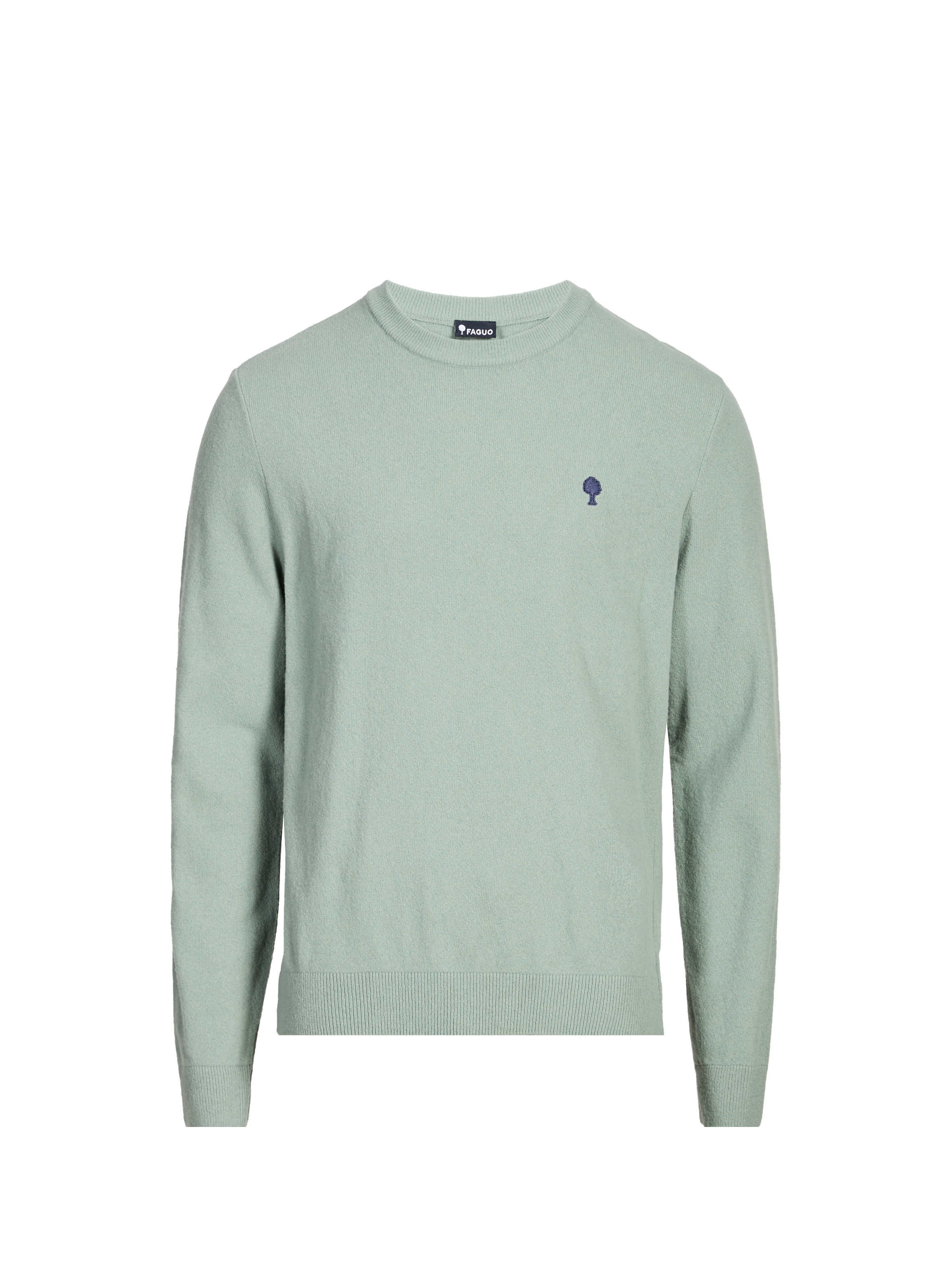 Crew-neck jumper FAGUO Green