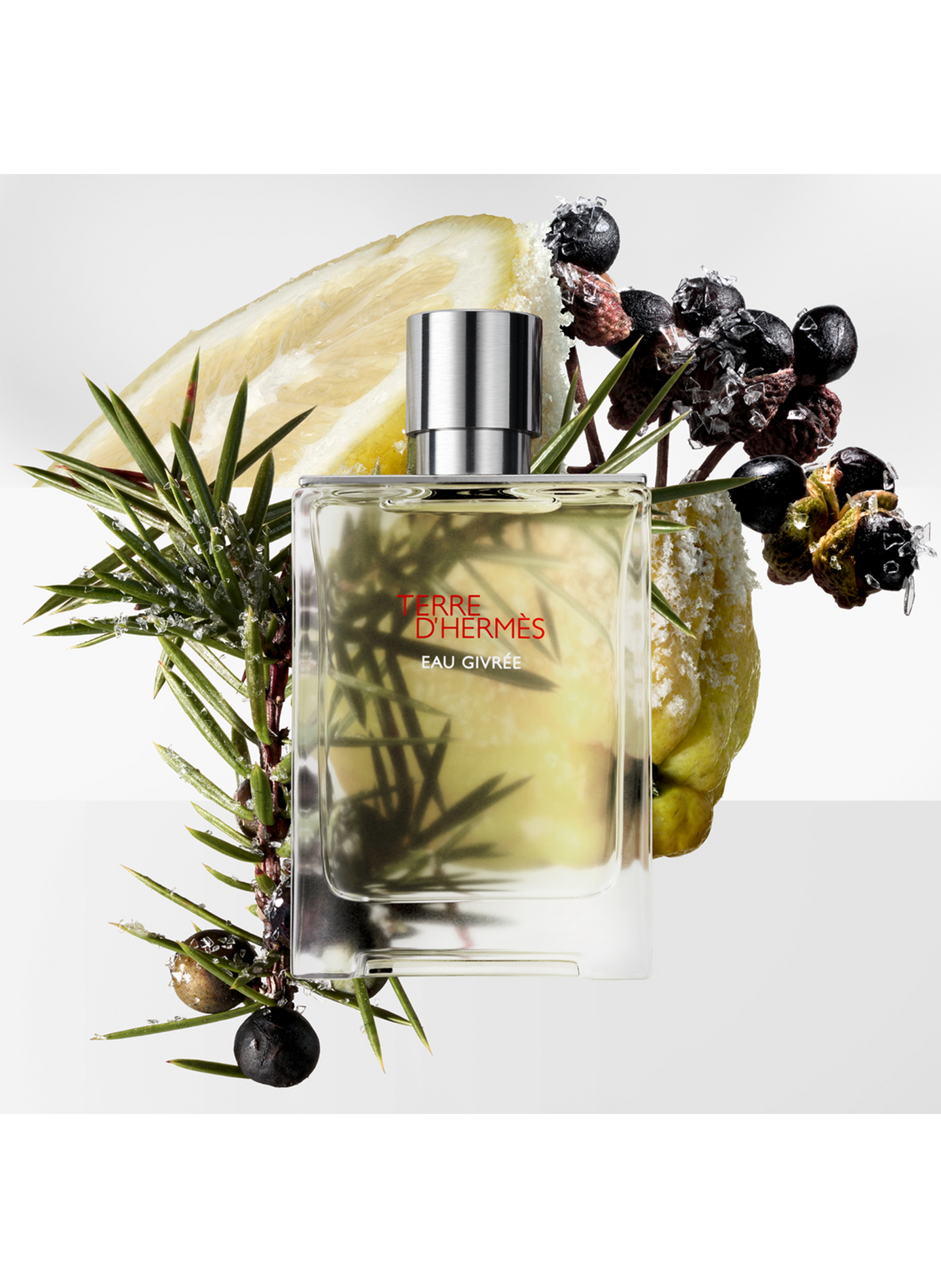 Hermès Terre d'Hermès Eau Givrée - Parfüm Nachfüllung HERMÈS No color