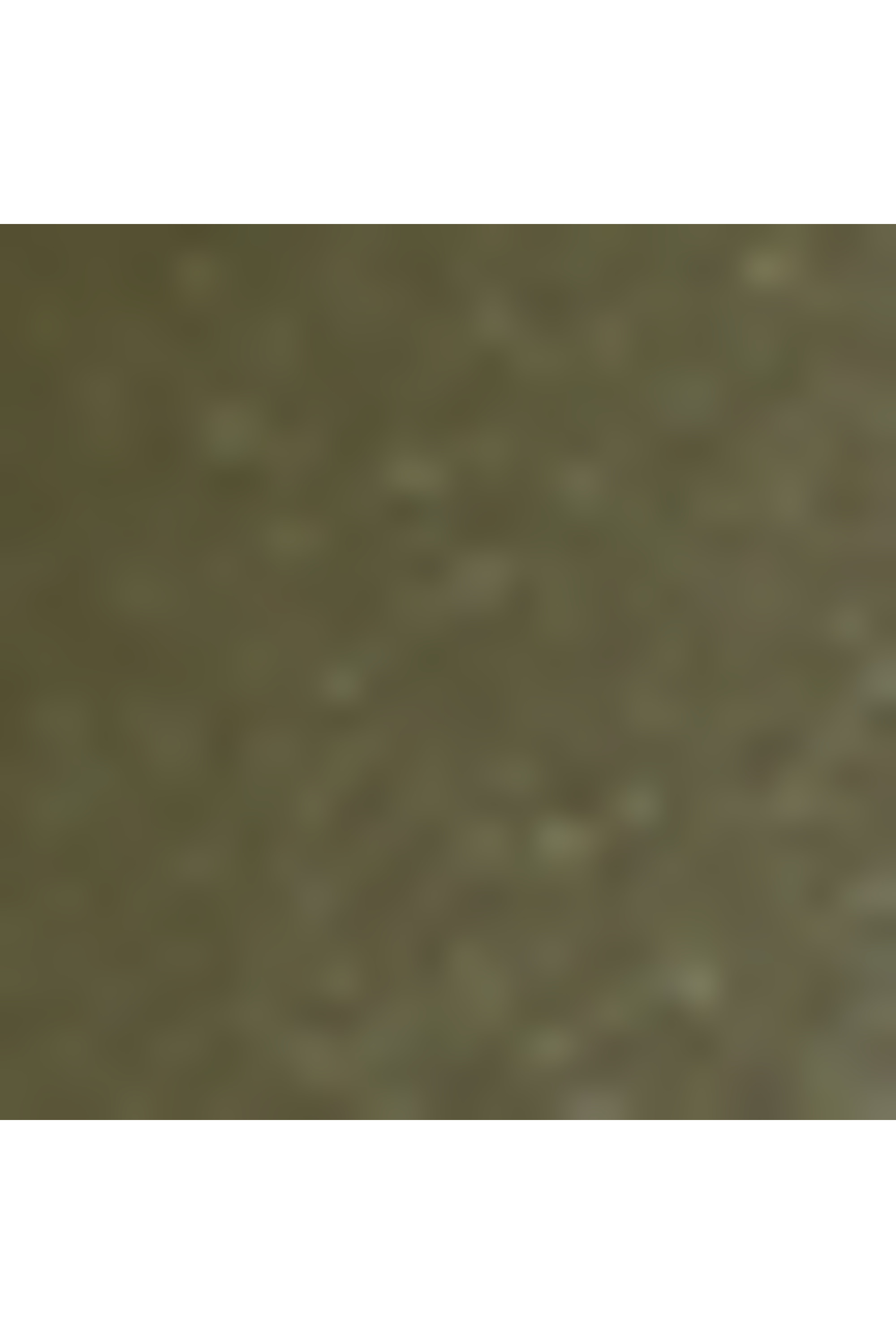 19 degree valise 4 roues taille l TUMI Vert