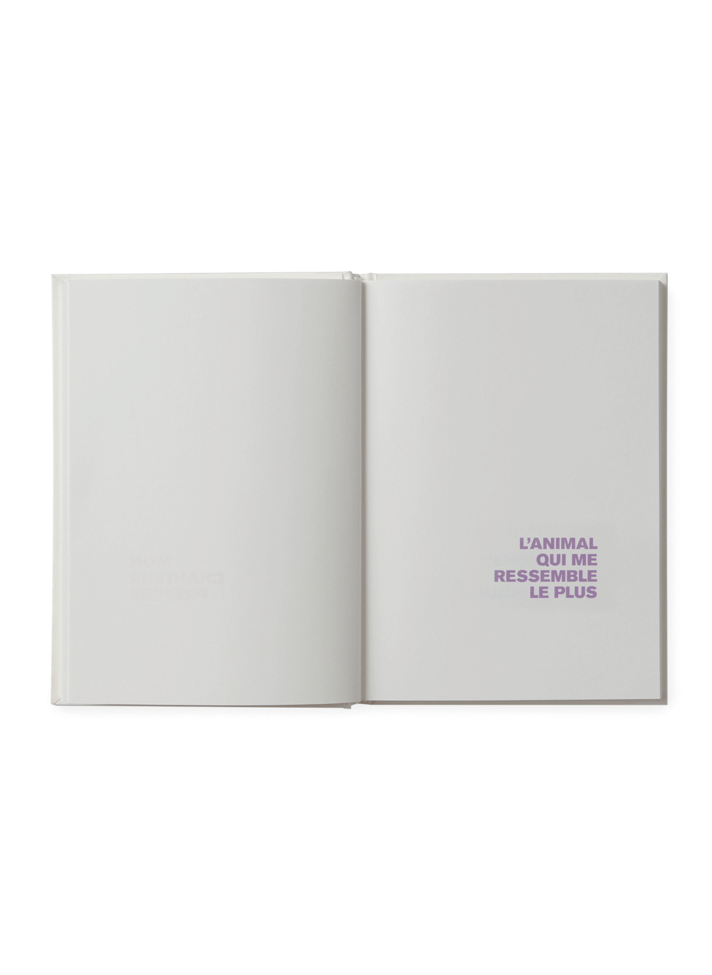 Livre à illustrer Moi