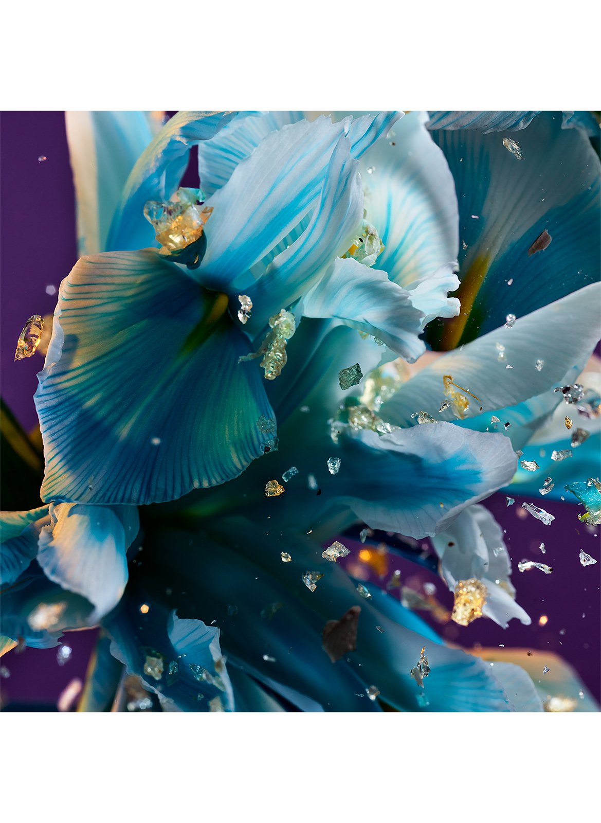 Bvlgari Allegra Spettacolore - Eau de Parfum

 BVLGARI No color