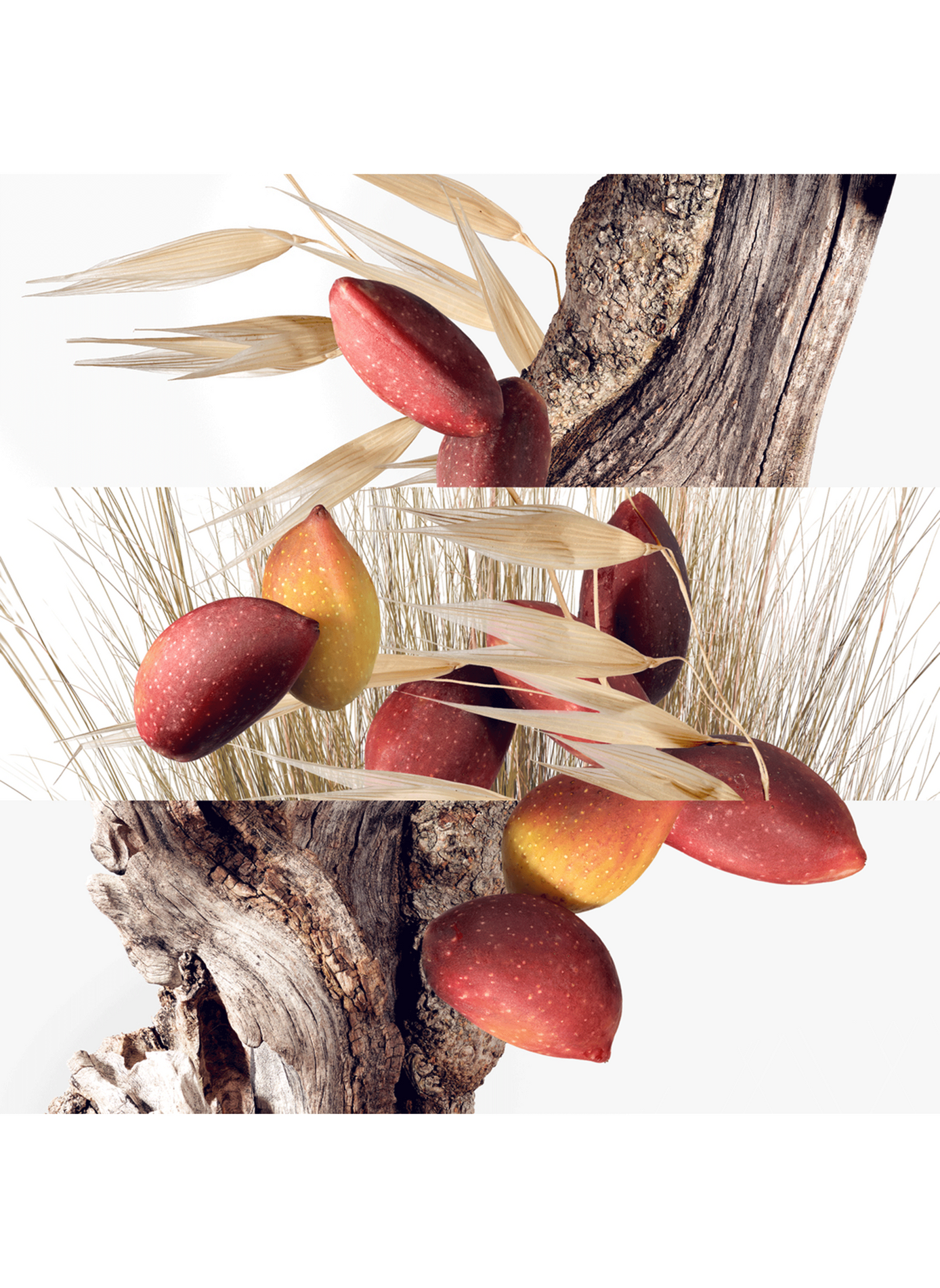 Ein Garten in Kythera, Eau de Toilette HERMÈS No color
