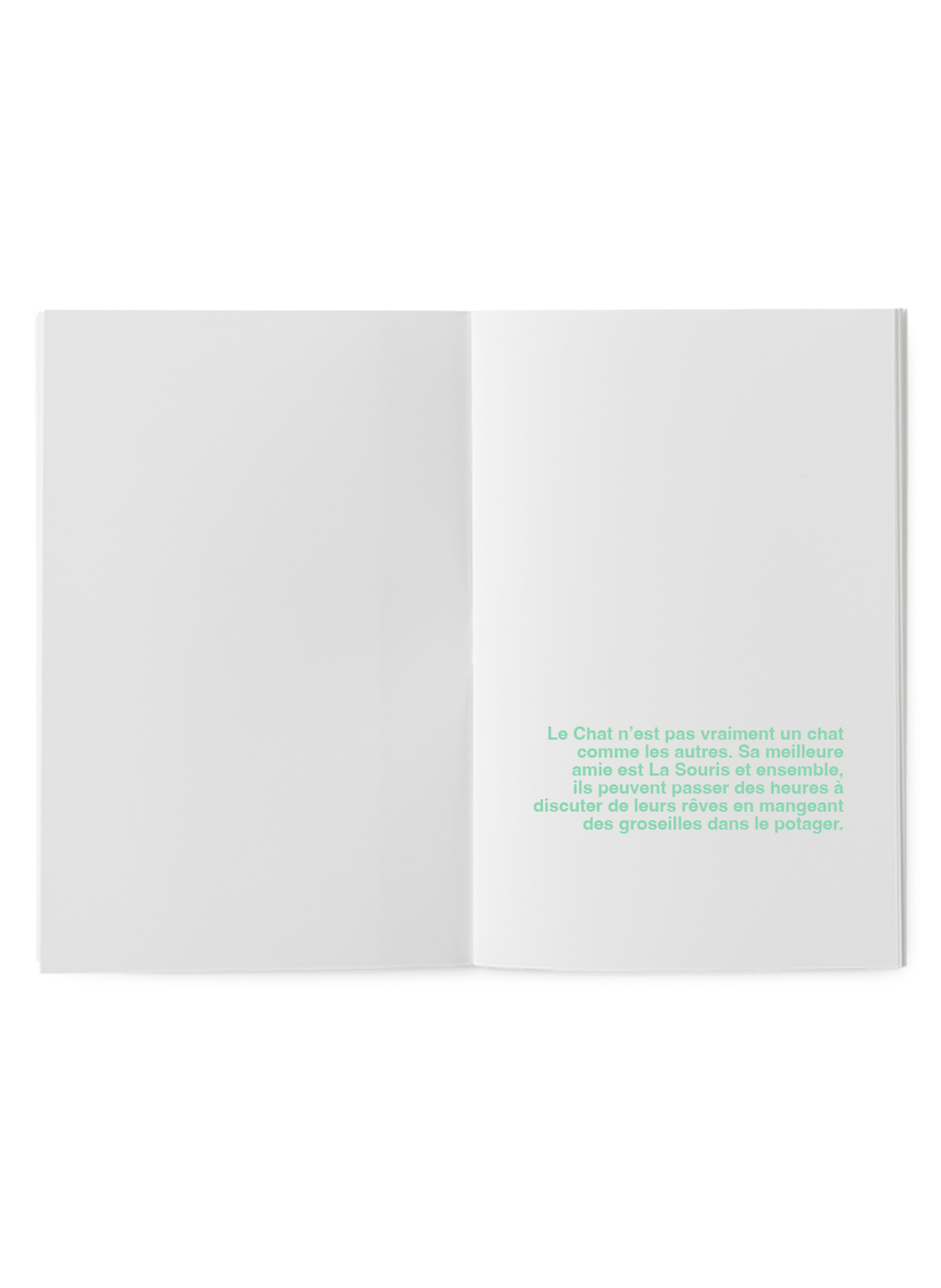 Livre à illustrer Le chat volant