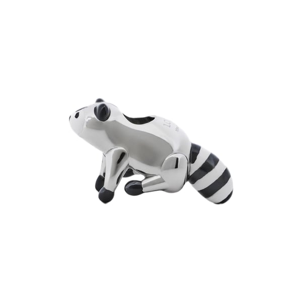 Charm raton laveur Charm raton laveur