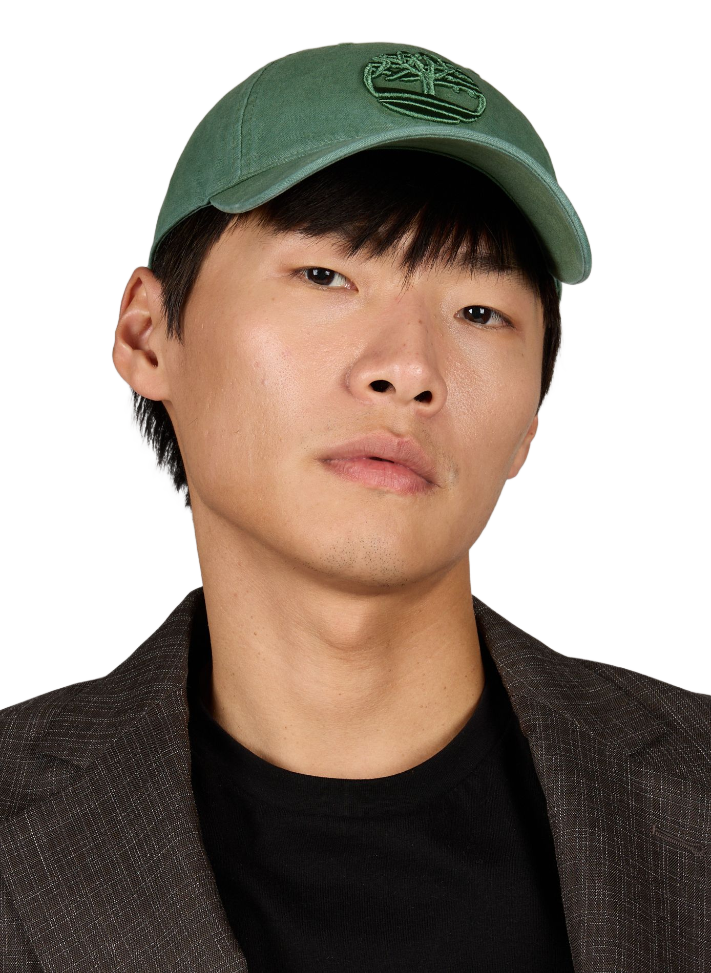 Embroidered cotton baseball cap TIMBERLAND Green