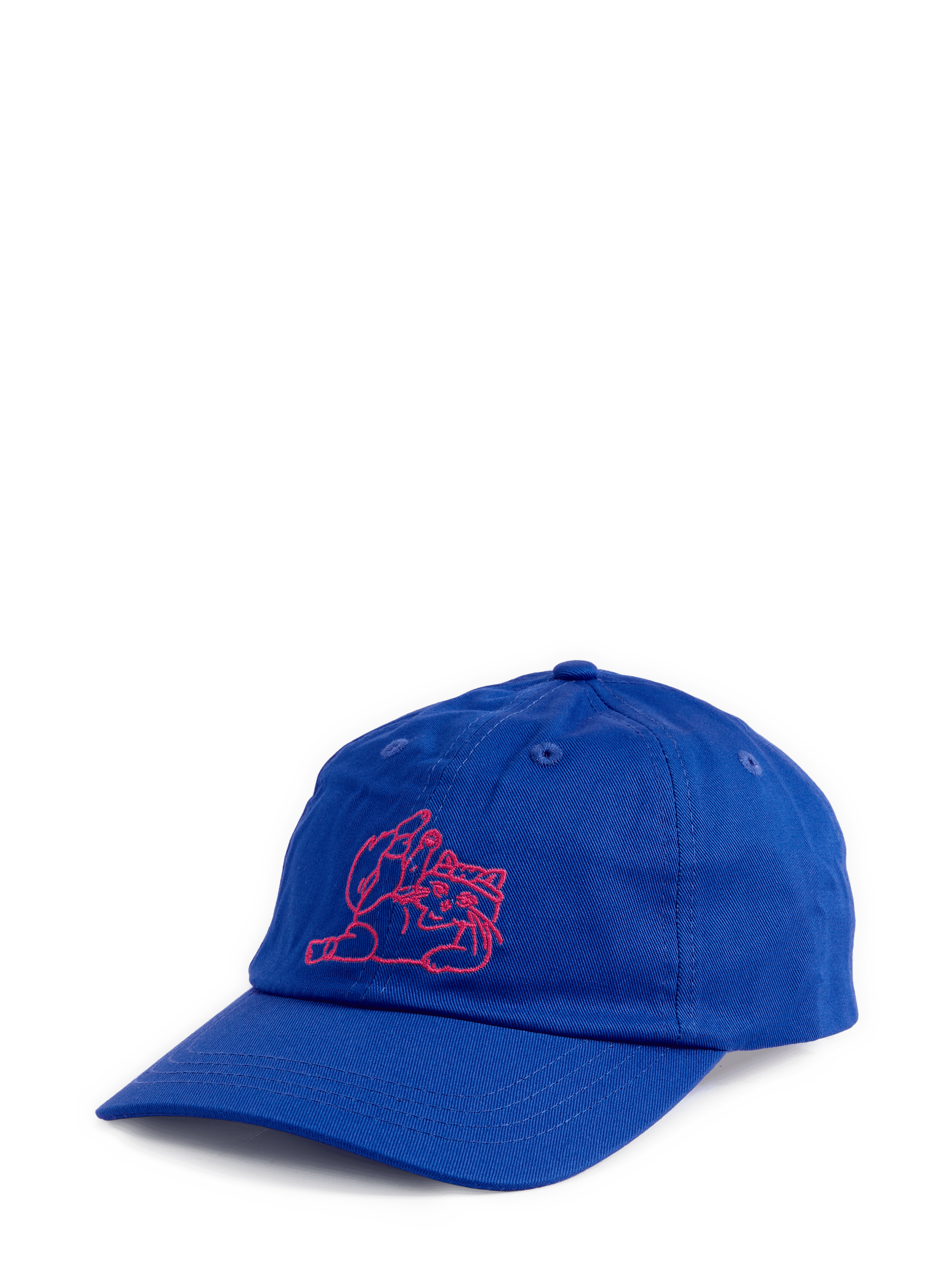 Cotton cap THINKING MU Blue