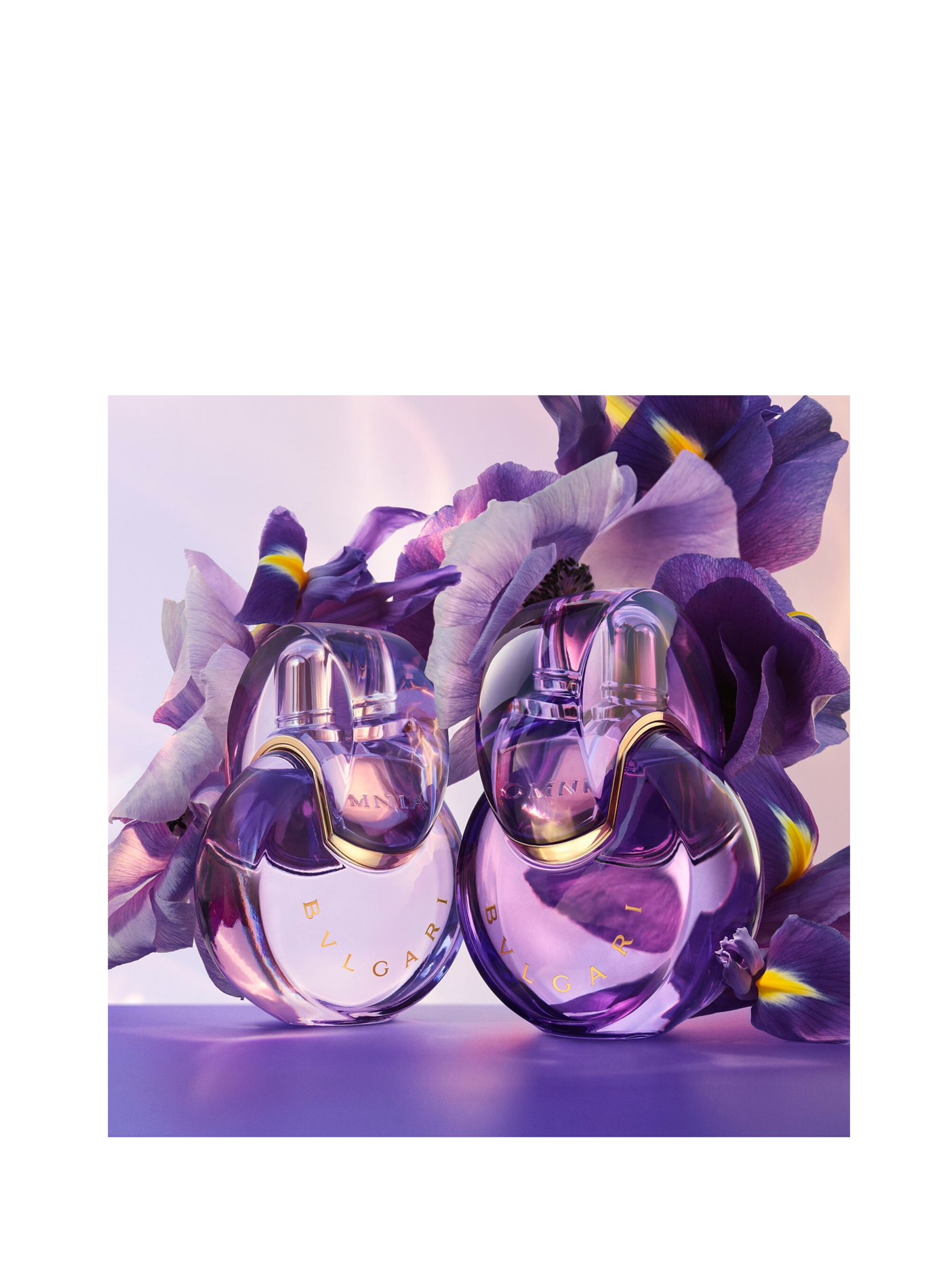 Omnia Amethyste - Eau de Parfum BVLGARI No color