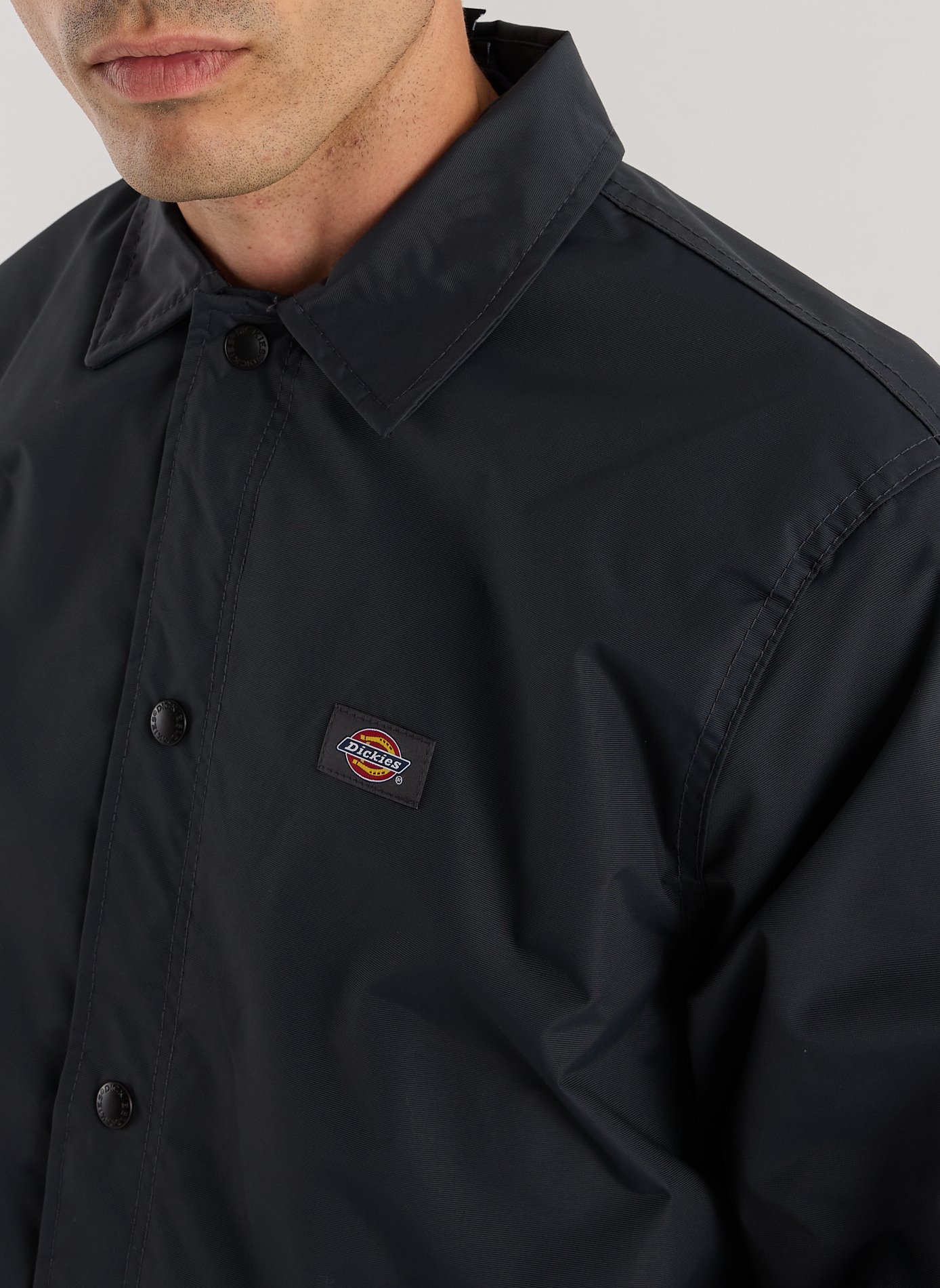 Veste droite à col classique DICKIES Gris