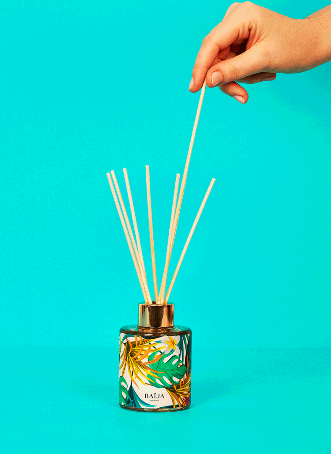 Moana Bouquet BAIJA No color