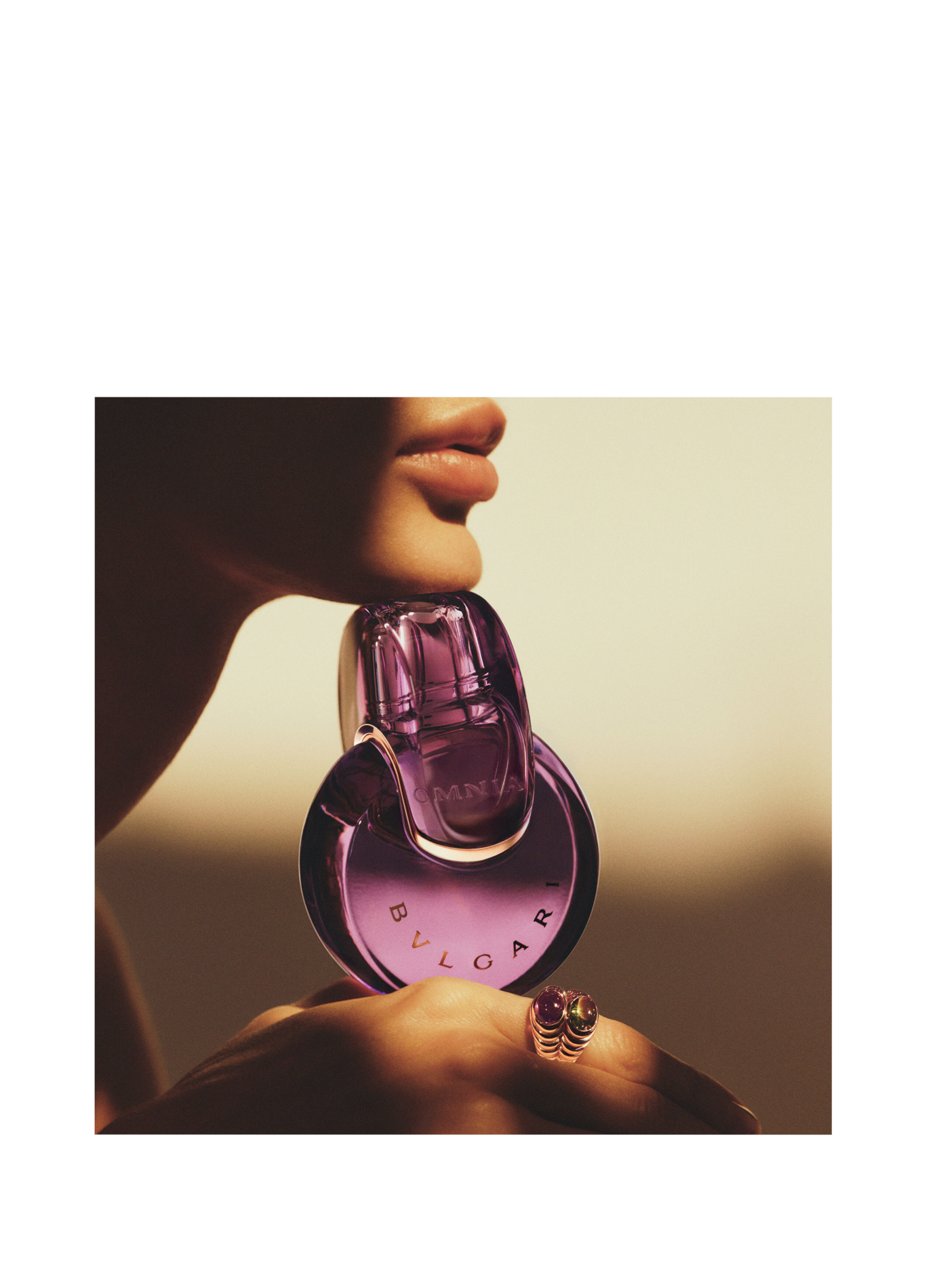 Omnia Amethyste - Eau de Parfum BVLGARI No color