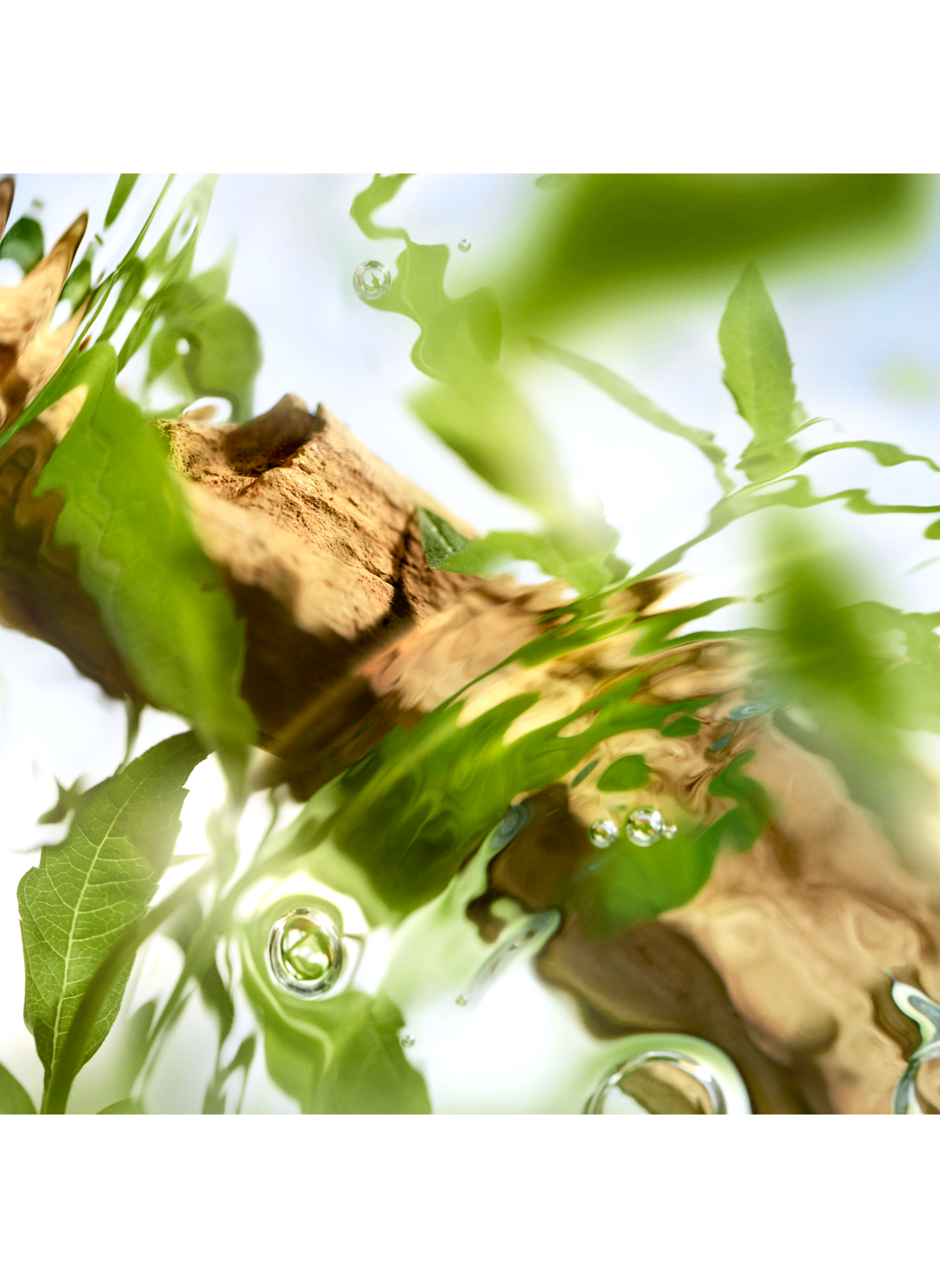 O de Lancome ÔFF NOW Eau de toilette LANCÔME No color