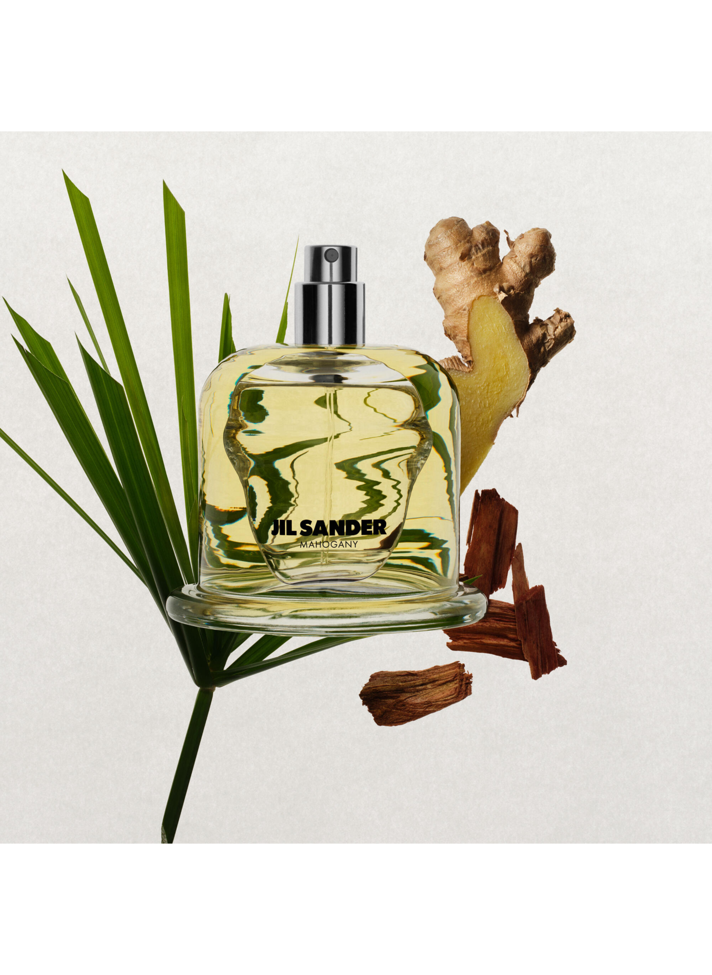Jil Sander Olfactory Series 1 - Mahonie - Eau de Parfum JIL SANDER No color