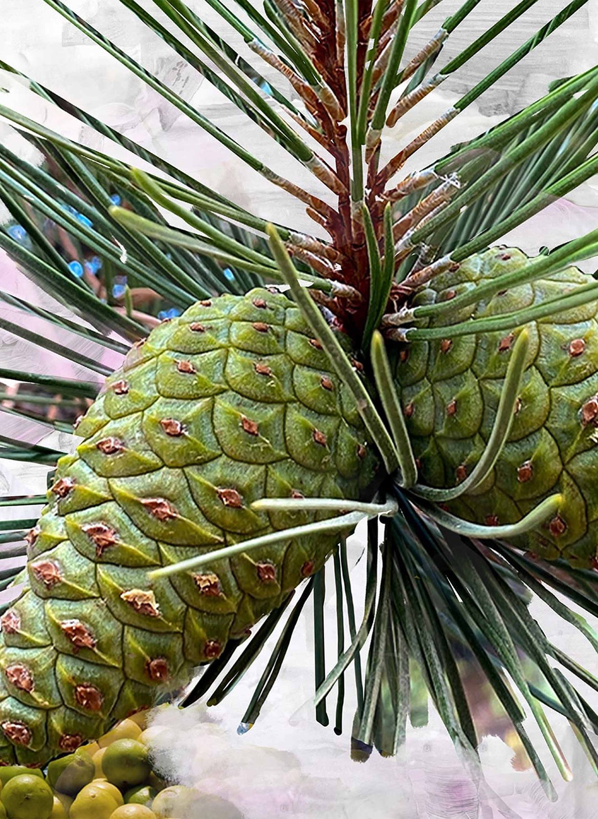 Perfume - Gypsy Water BYREDO No color