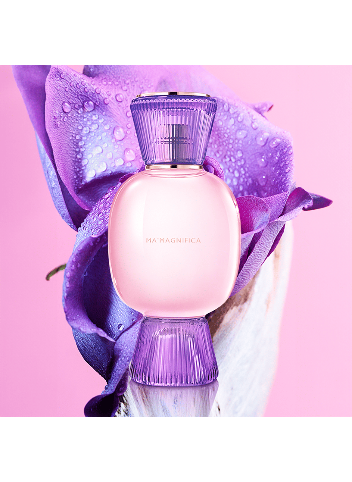 Bvlgari Allegra Ma'Magnifica - Eau de Parfum BVLGARI No color